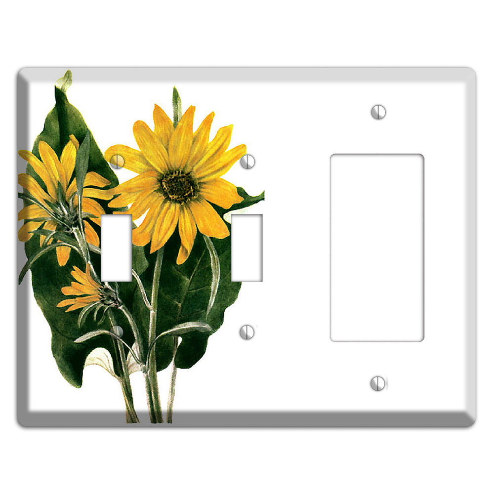 Balsamorhiza Sagittata 2 Toggle / Rocker Wallplate