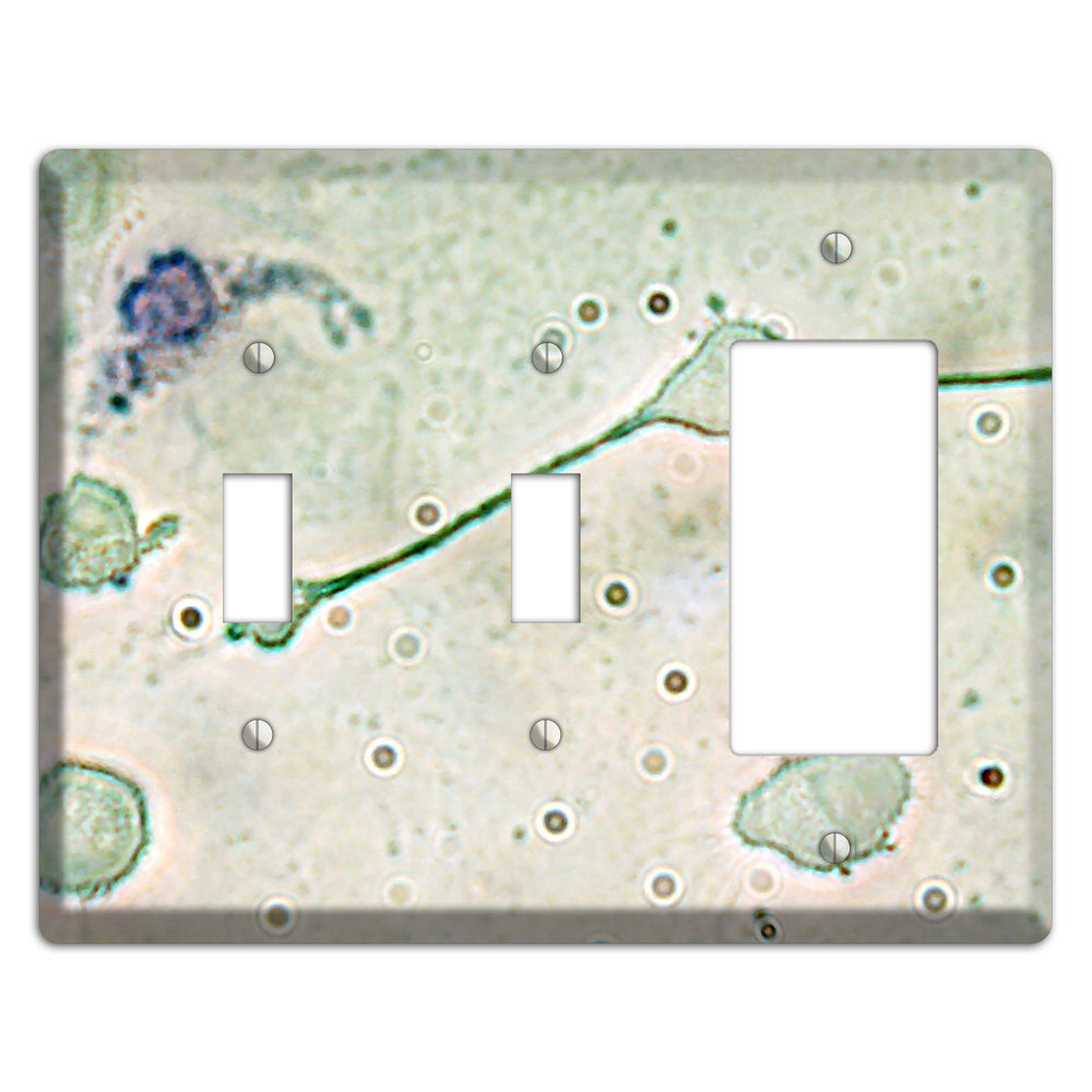 Macrophage 2 Toggle / Rocker Wallplate