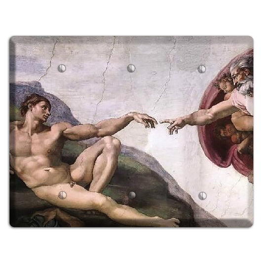 Michelangelo 1 3 Blank Wallplate