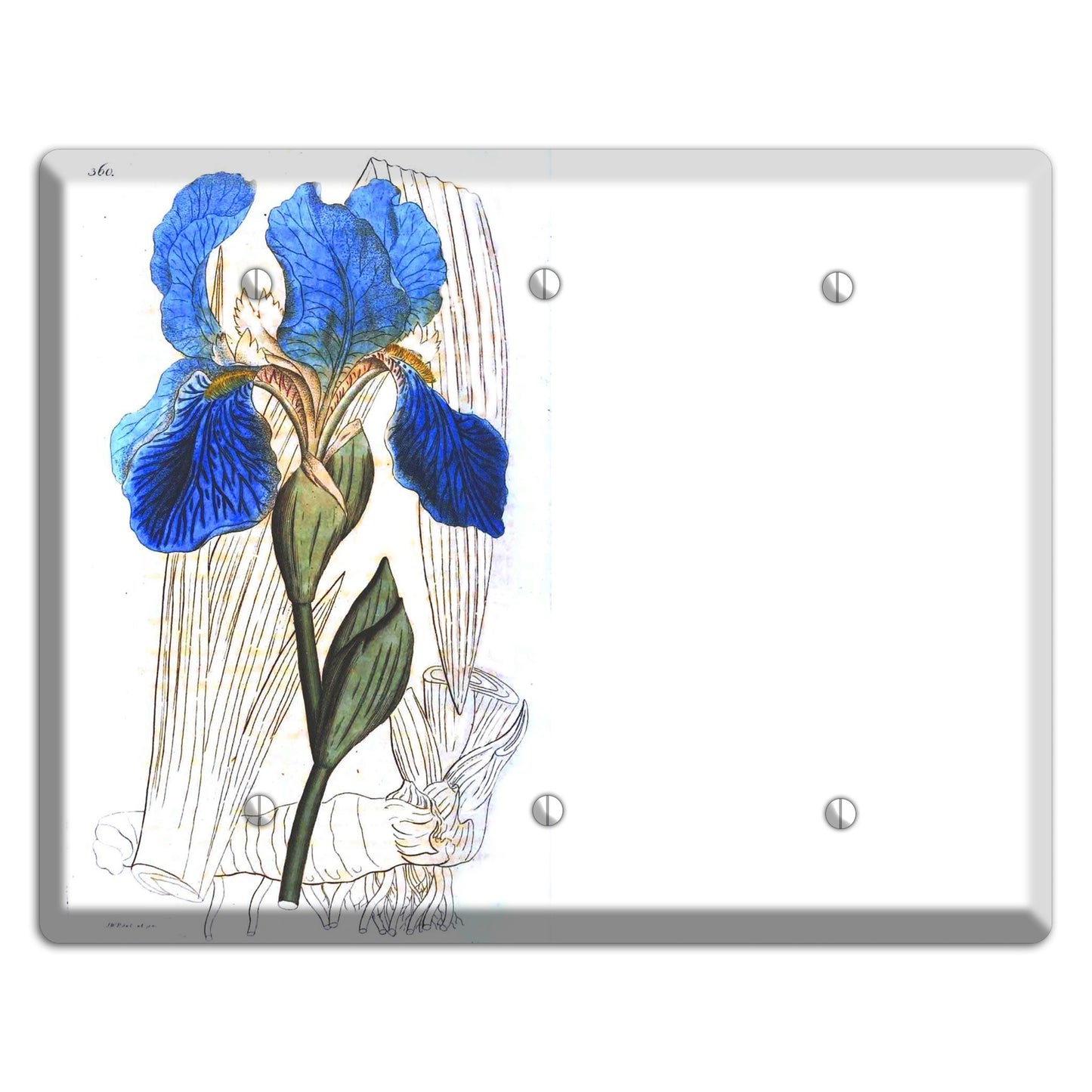 Blue Iris 3 Blank Wallplate