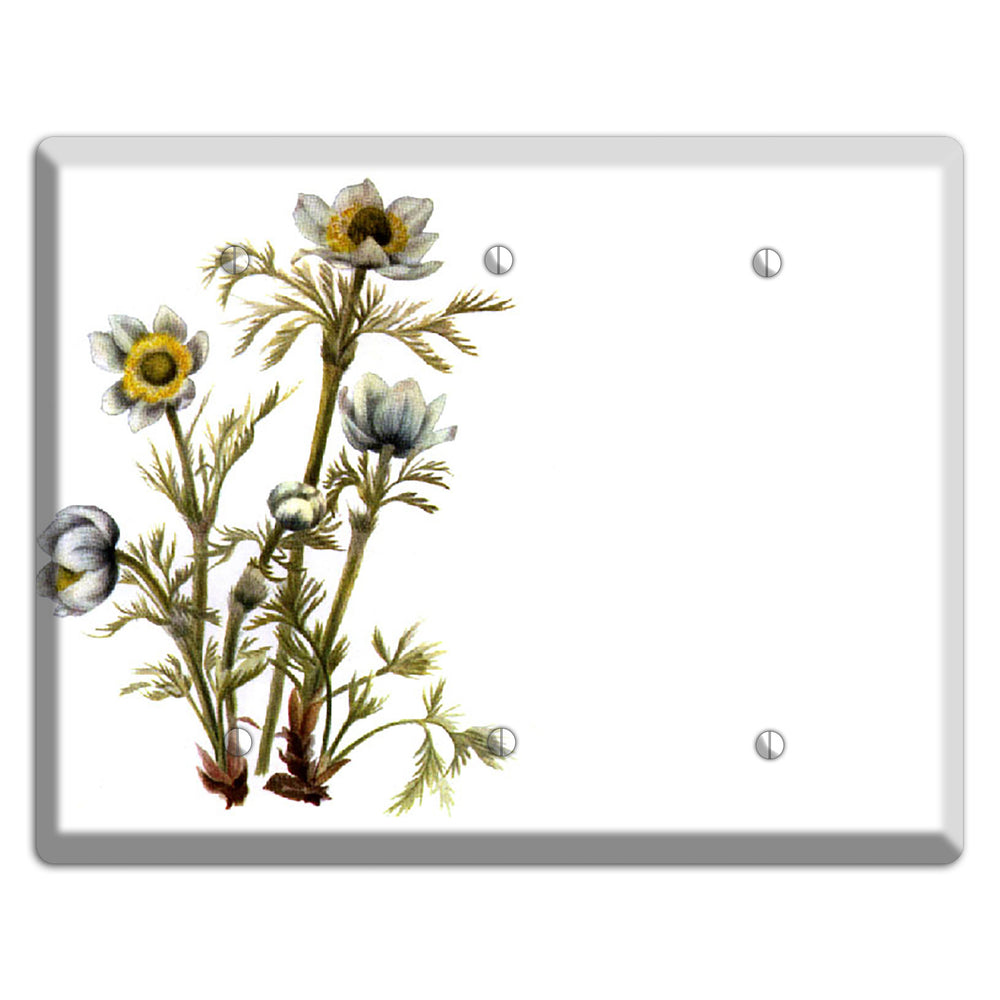 Aenmone Occitentalis 3 Blank Wallplate