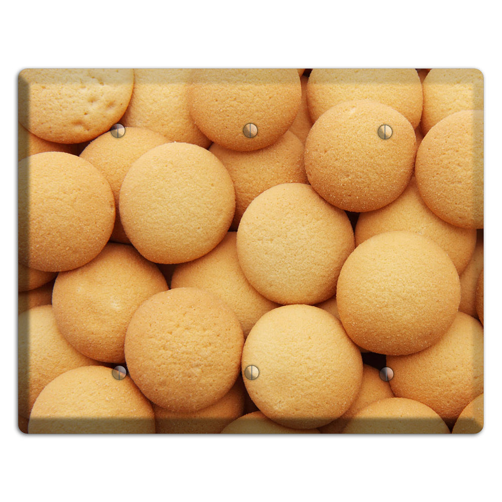 Wafers 3 Blank Wallplate