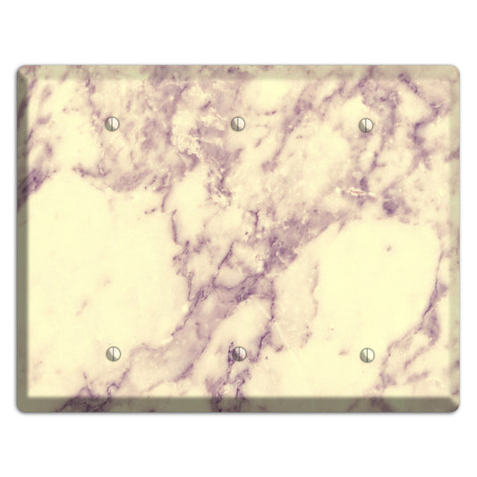 Champagne Marble 3 Blank Wallplate