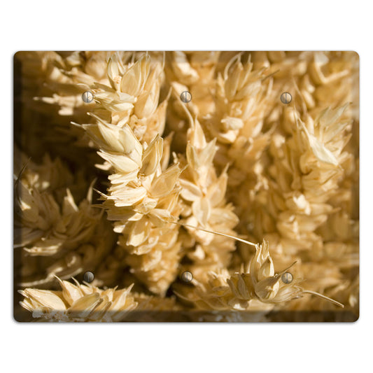 Wheat 3 Blank Wallplate