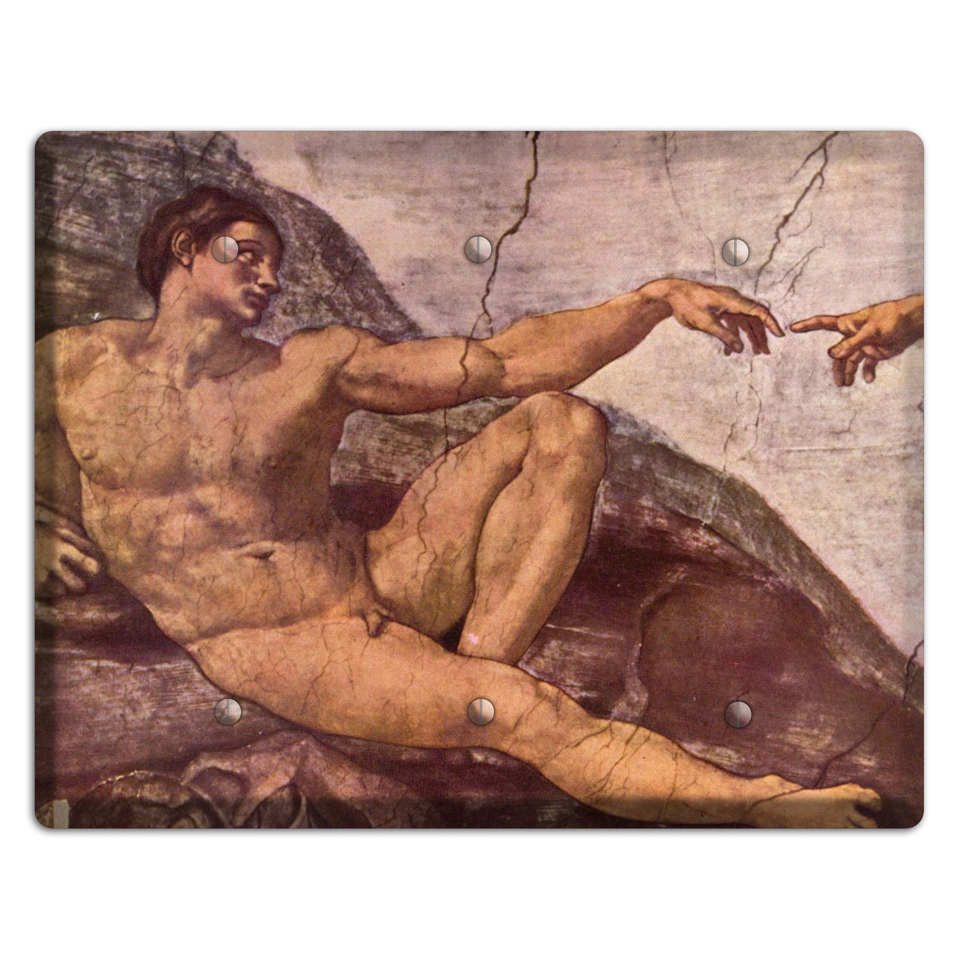 Michelangelo 2 3 Blank Wallplate