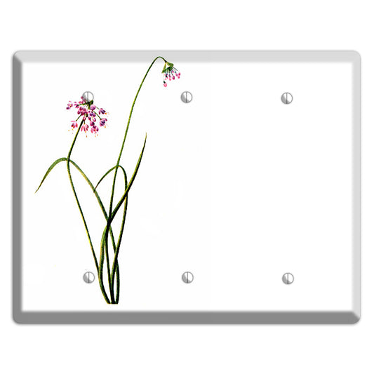 Allium Cernum 3 Blank Wallplate