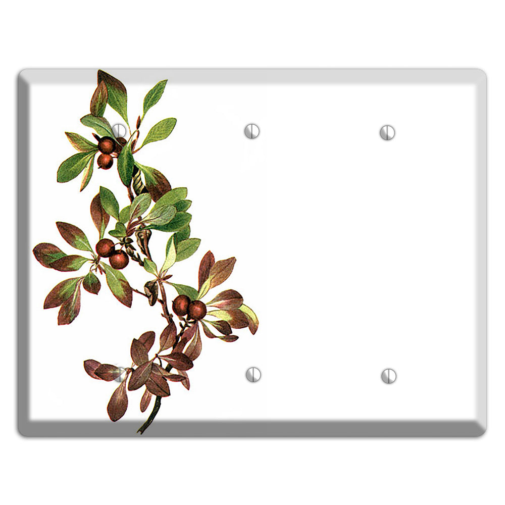 Arietustaphylos Alpha 3 Blank Wallplate