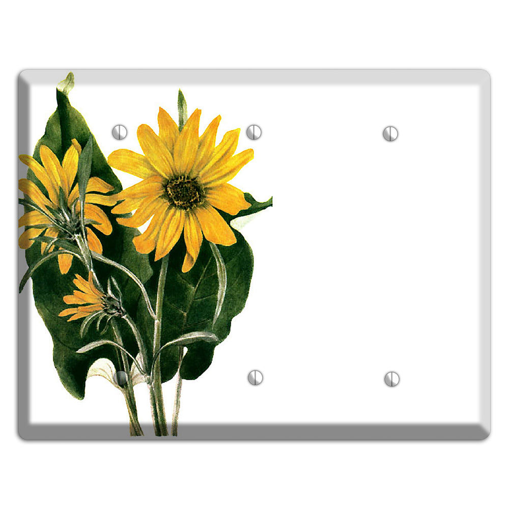 Balsamorhiza Sagittata 3 Blank Wallplate
