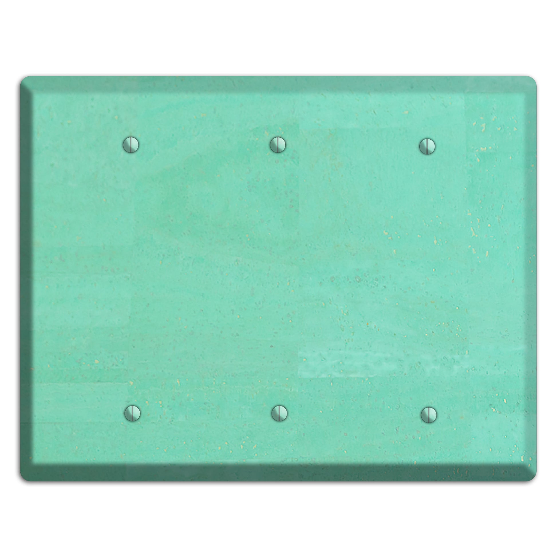 Seafoam Cork 3 Blank Wallplate