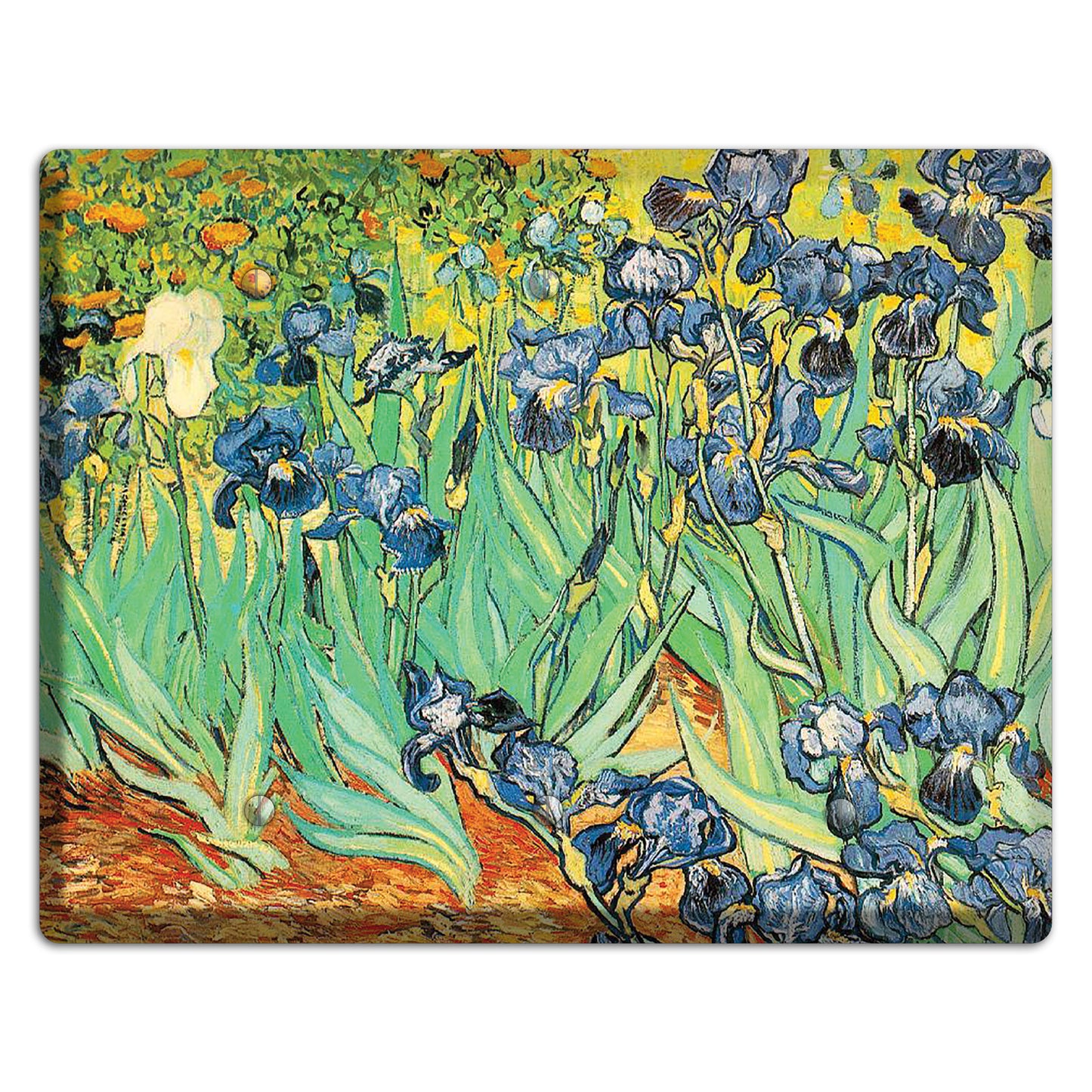 Vincent Van Gogh 1 3 Blank Wallplate