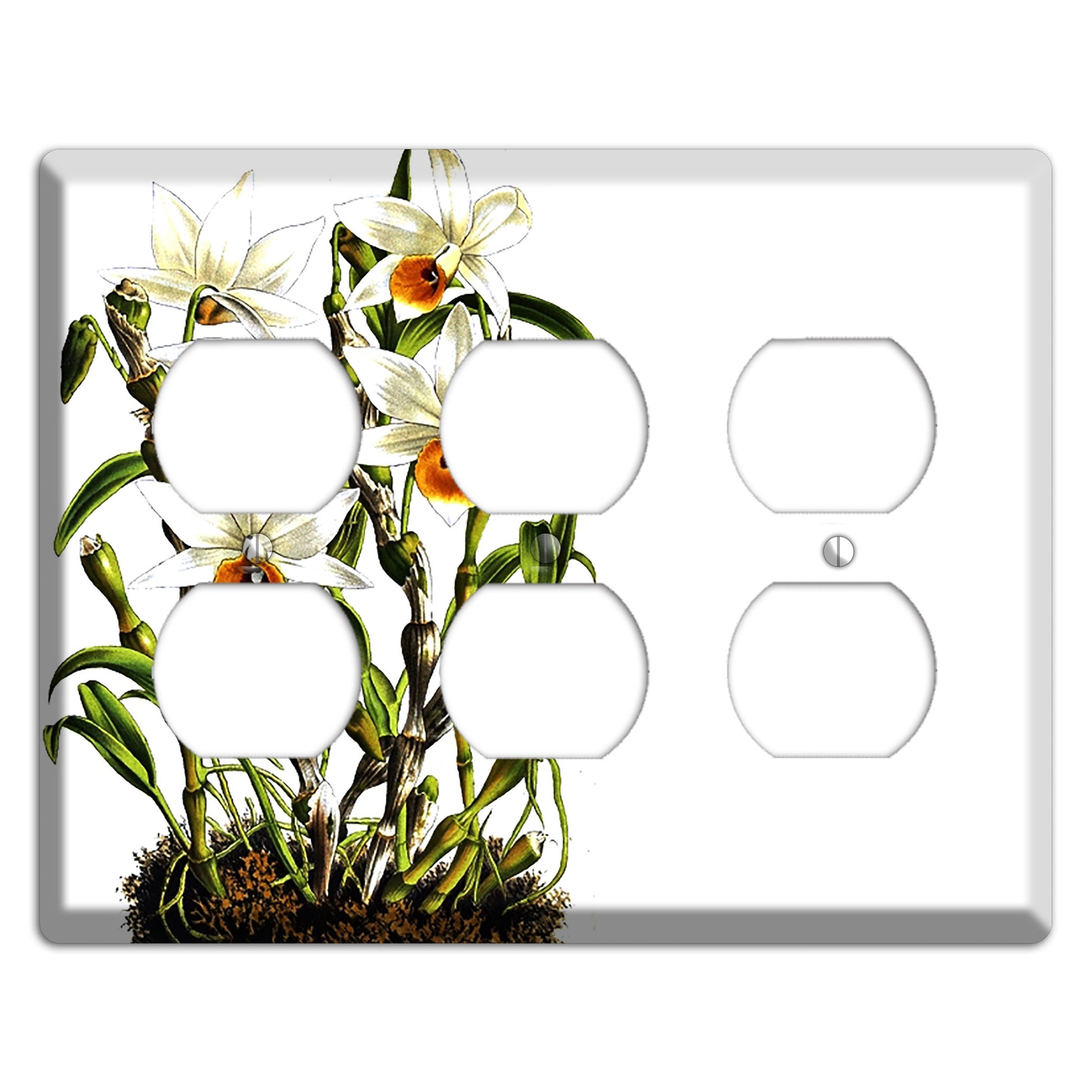 Dendrobium 3 Duplex Wallplate