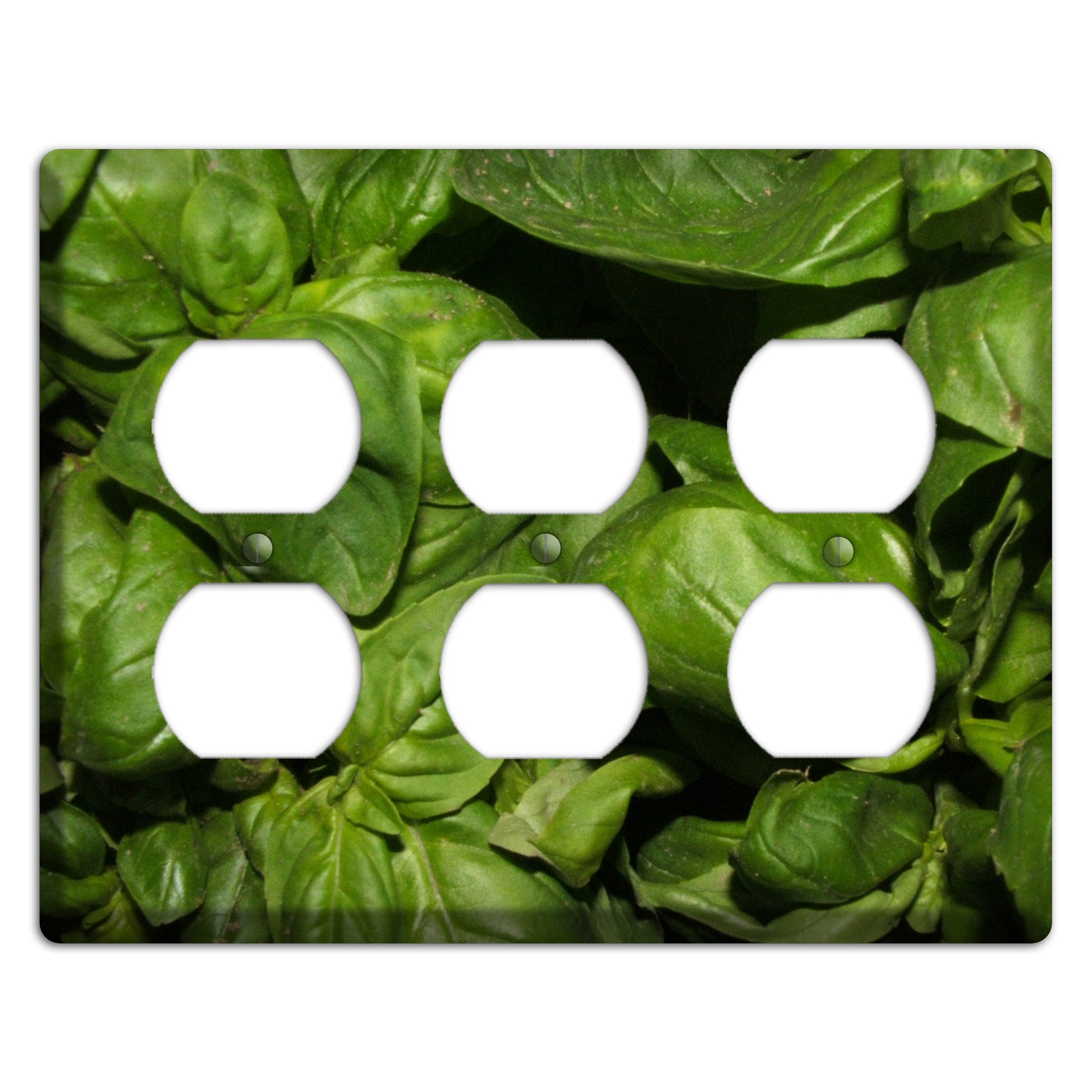 Basil 3 Duplex Wallplate