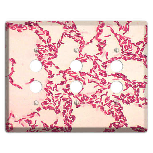 Bacillus Coagulans 3 Pushbutton Wallplate