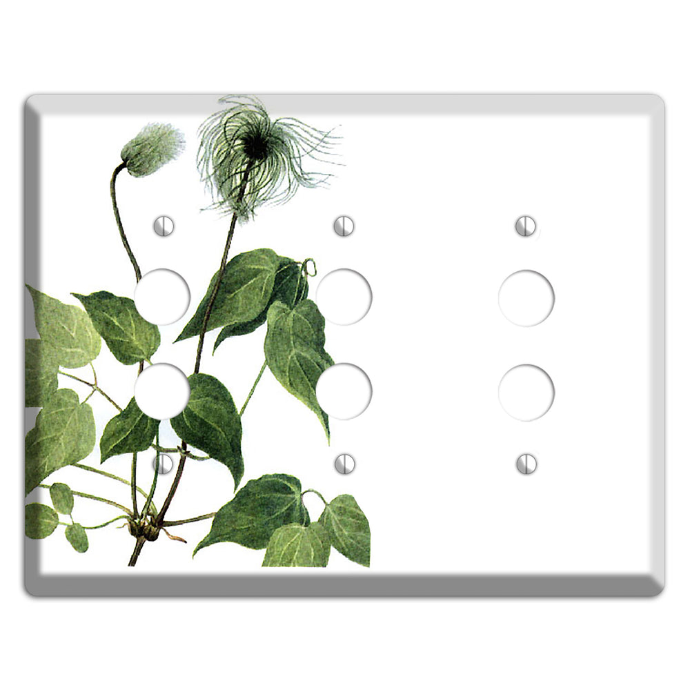 Clamatis Columbiana 3 Pushbutton Wallplate