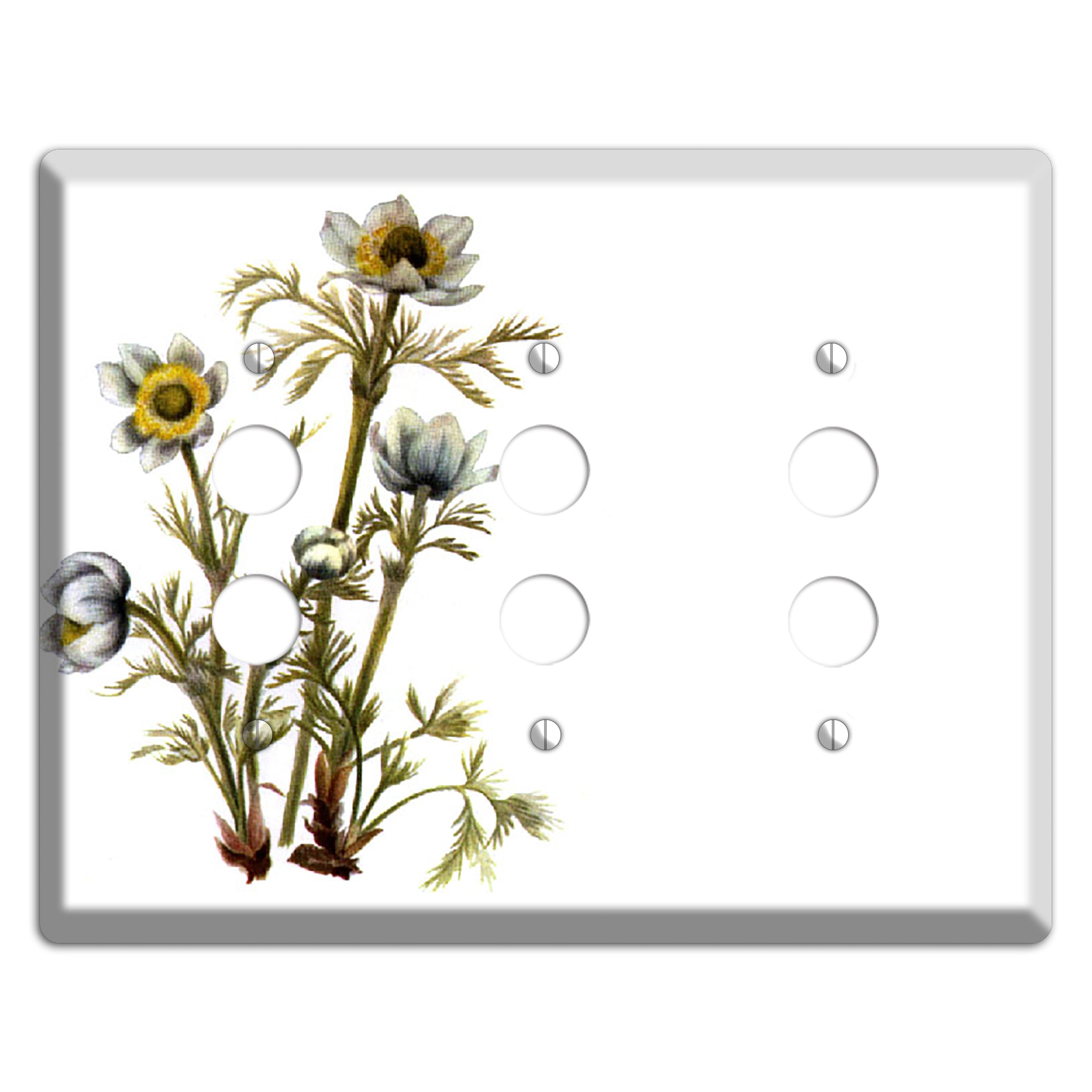 Aenmone Occitentalis 3 Pushbutton Wallplate