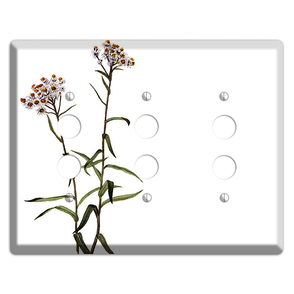Anaphalis Margoritacea 3 Pushbutton Wallplate