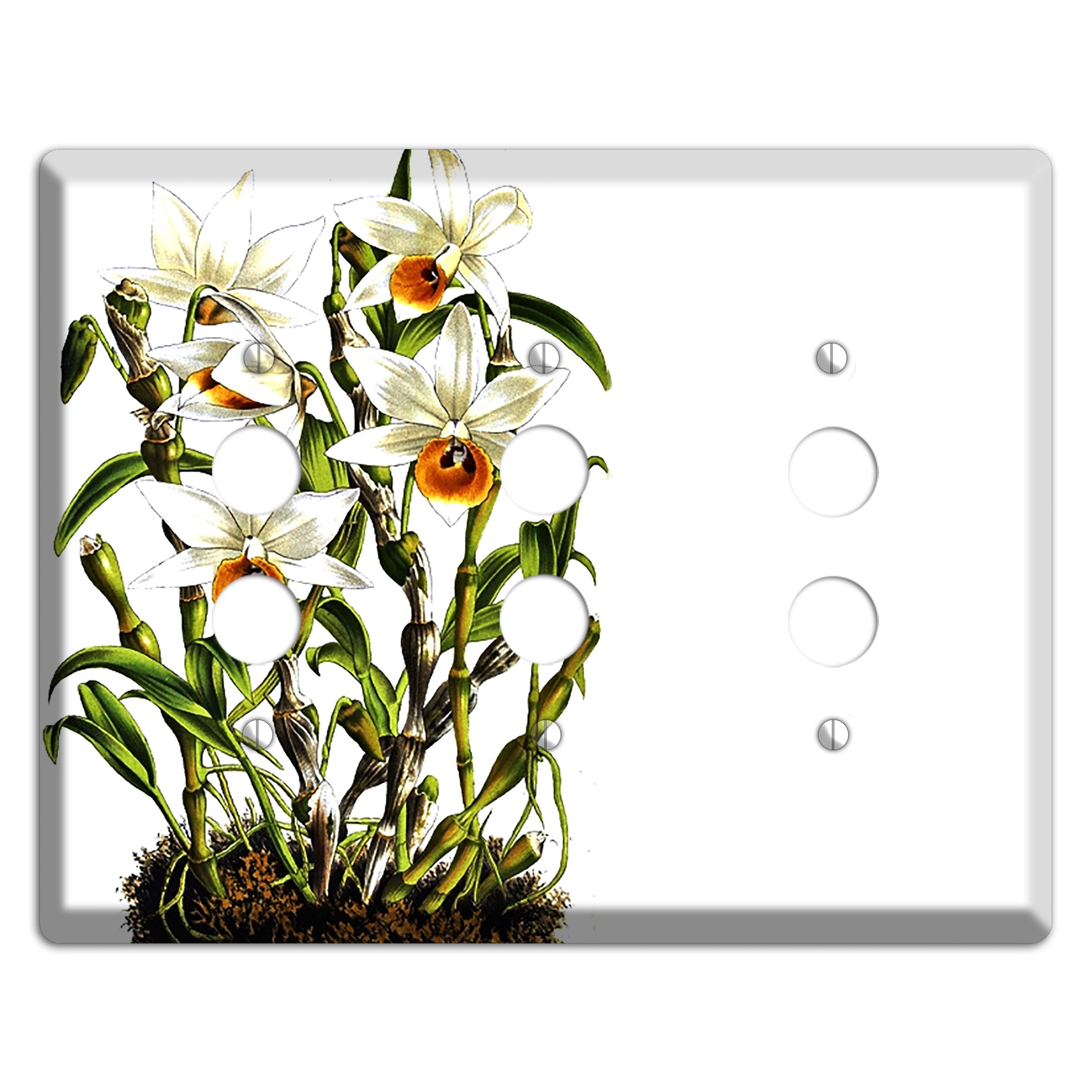 Dendrobium 3 Pushbutton Wallplate