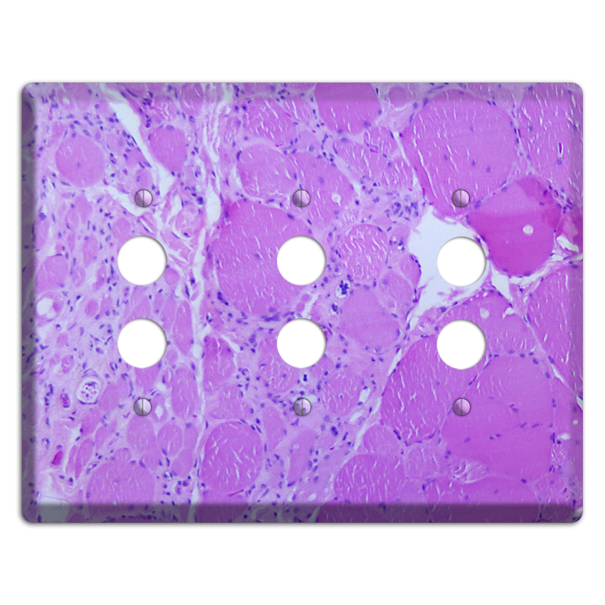 Poliovirus Myotonic Dystrophic 3 Pushbutton Wallplate