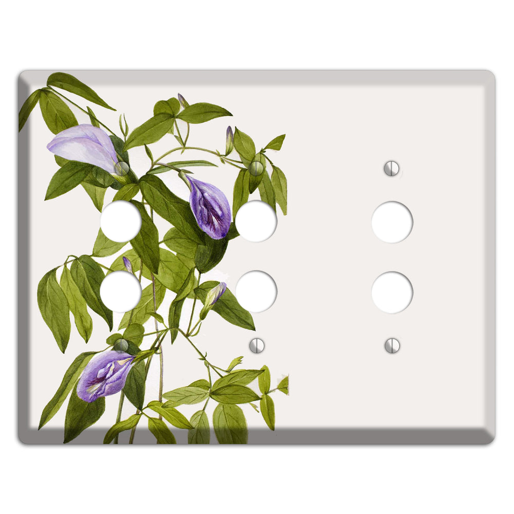 Clitoria Mariana 3 Pushbutton Wallplate