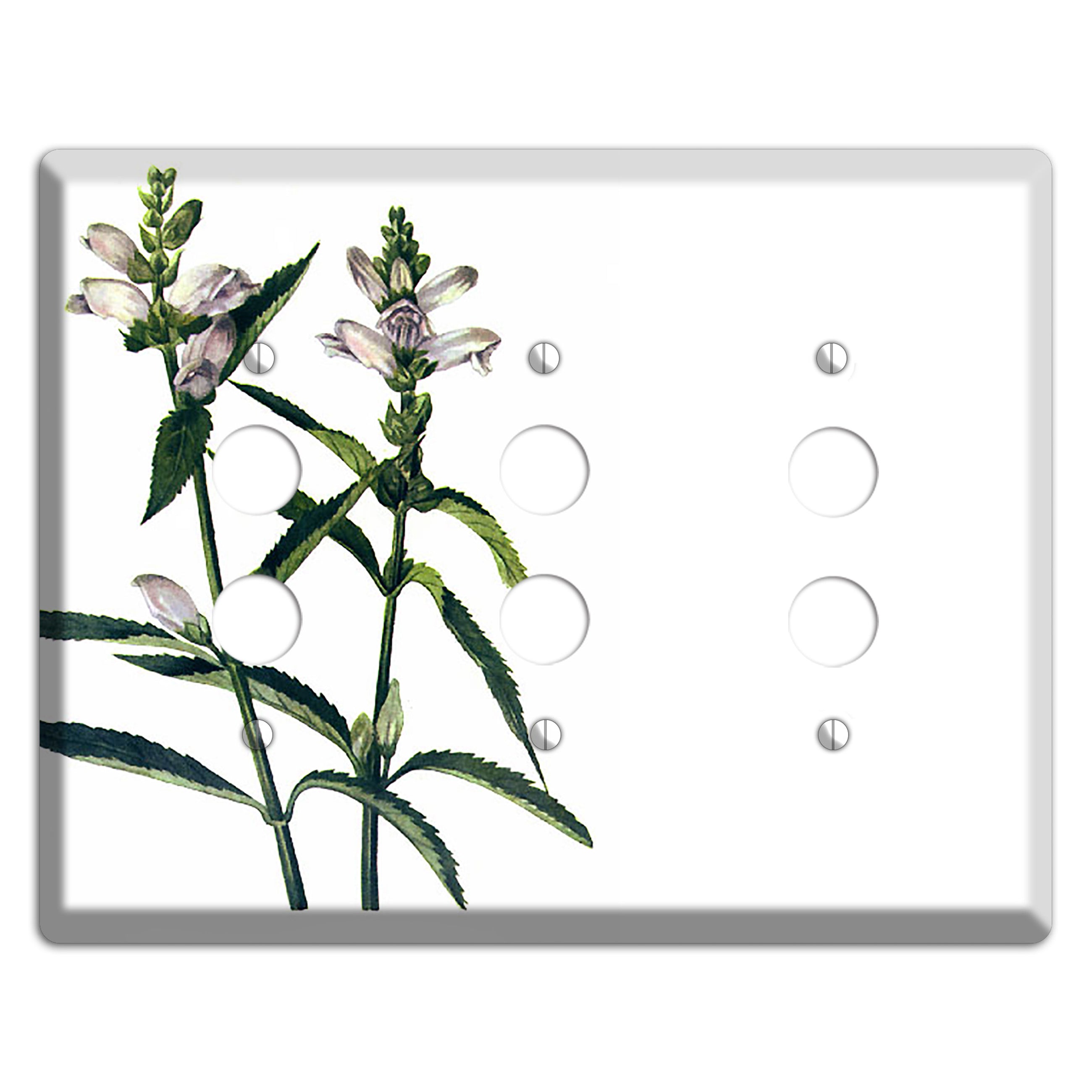 Chelone Glabra 3 Pushbutton Wallplate