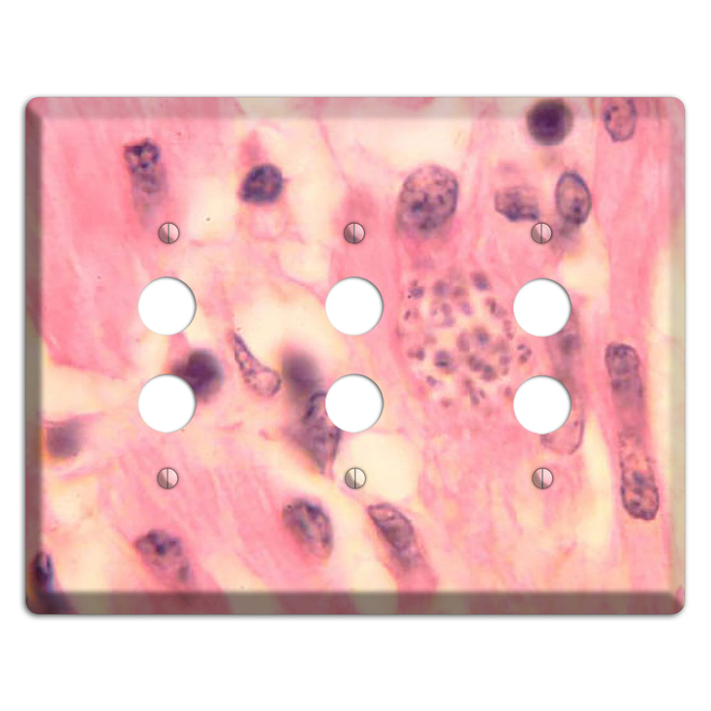 Trypanosoma Cruzi Heart 3 Pushbutton Wallplate