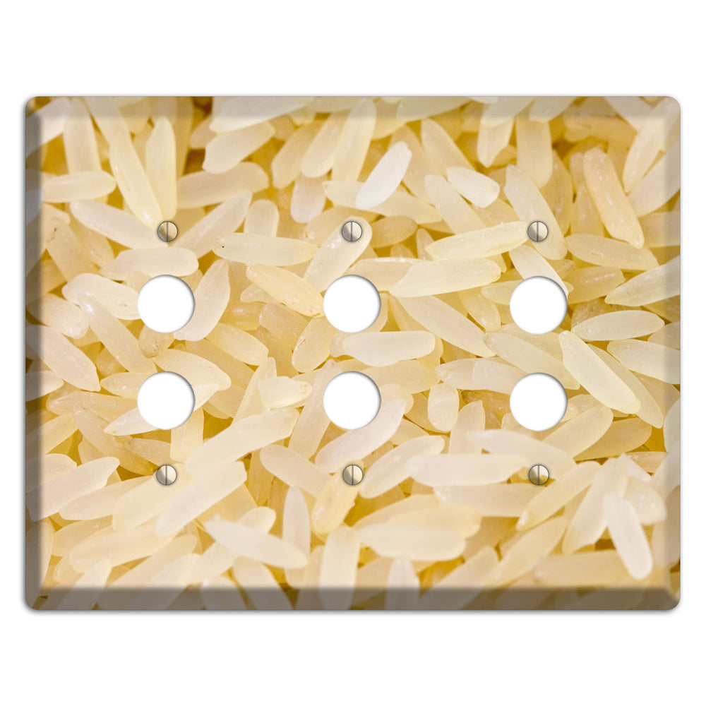 Rice 3 Pushbutton Wallplate