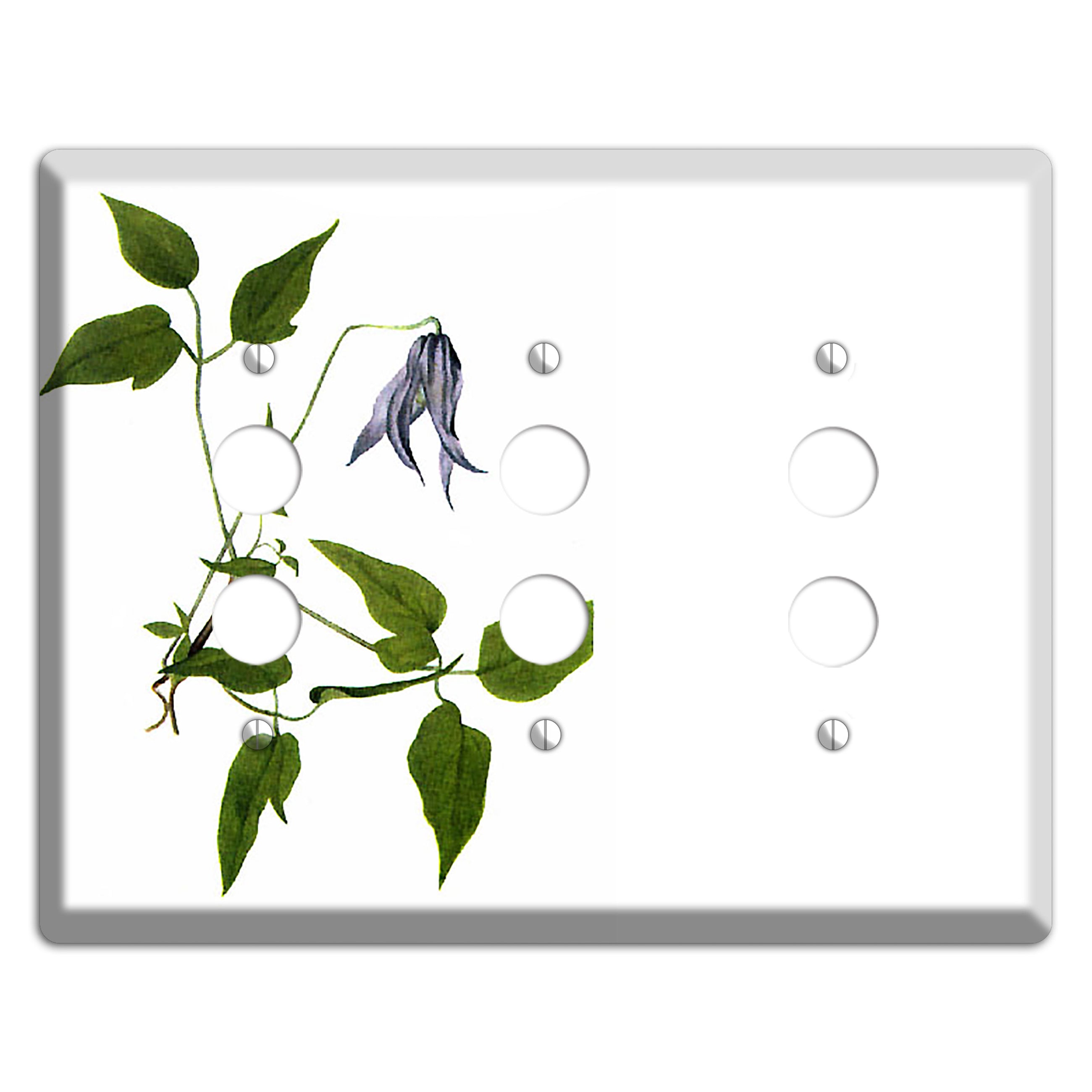 Clematis Columbiana 3 Pushbutton Wallplate