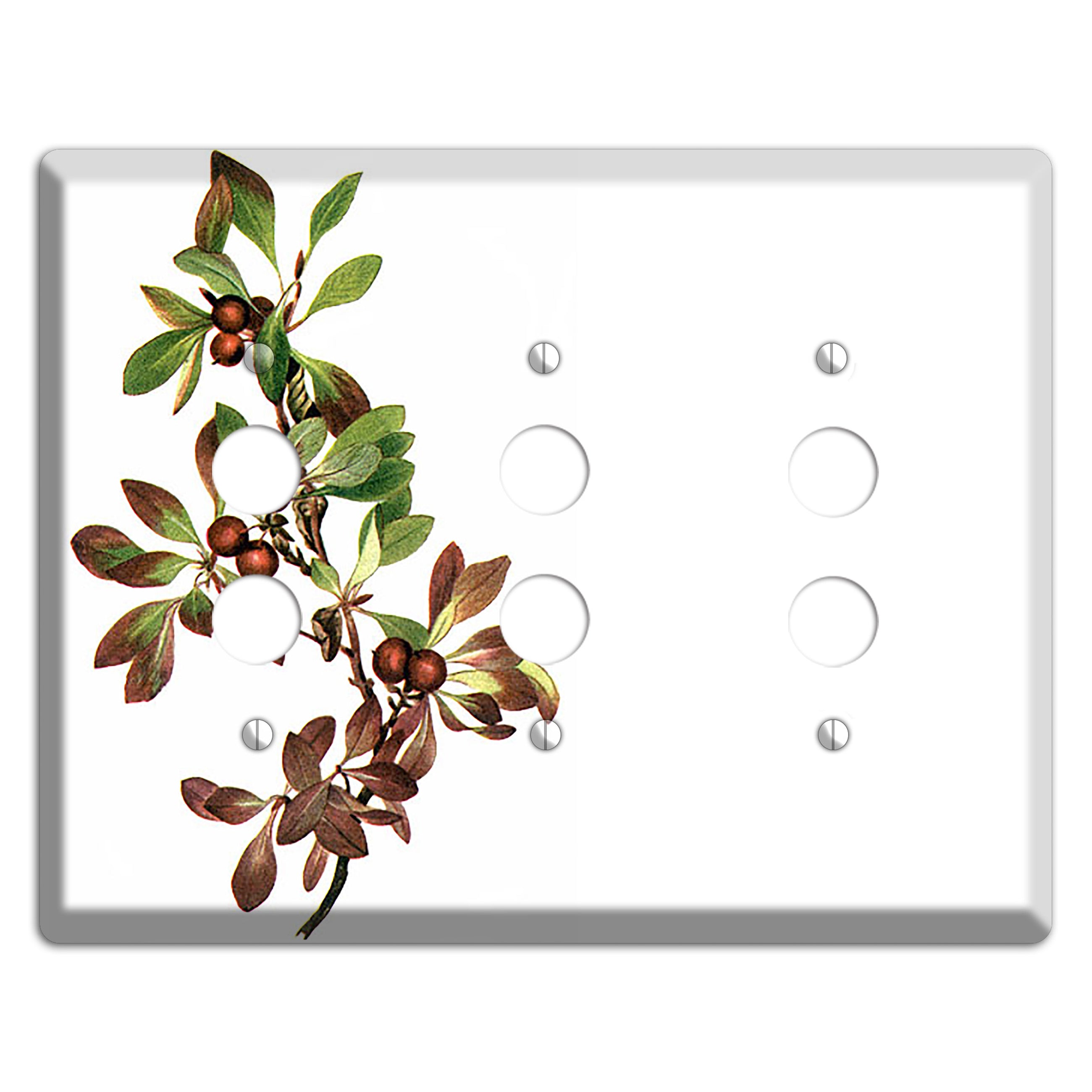 Arietustaphylos Alpha 3 Pushbutton Wallplate
