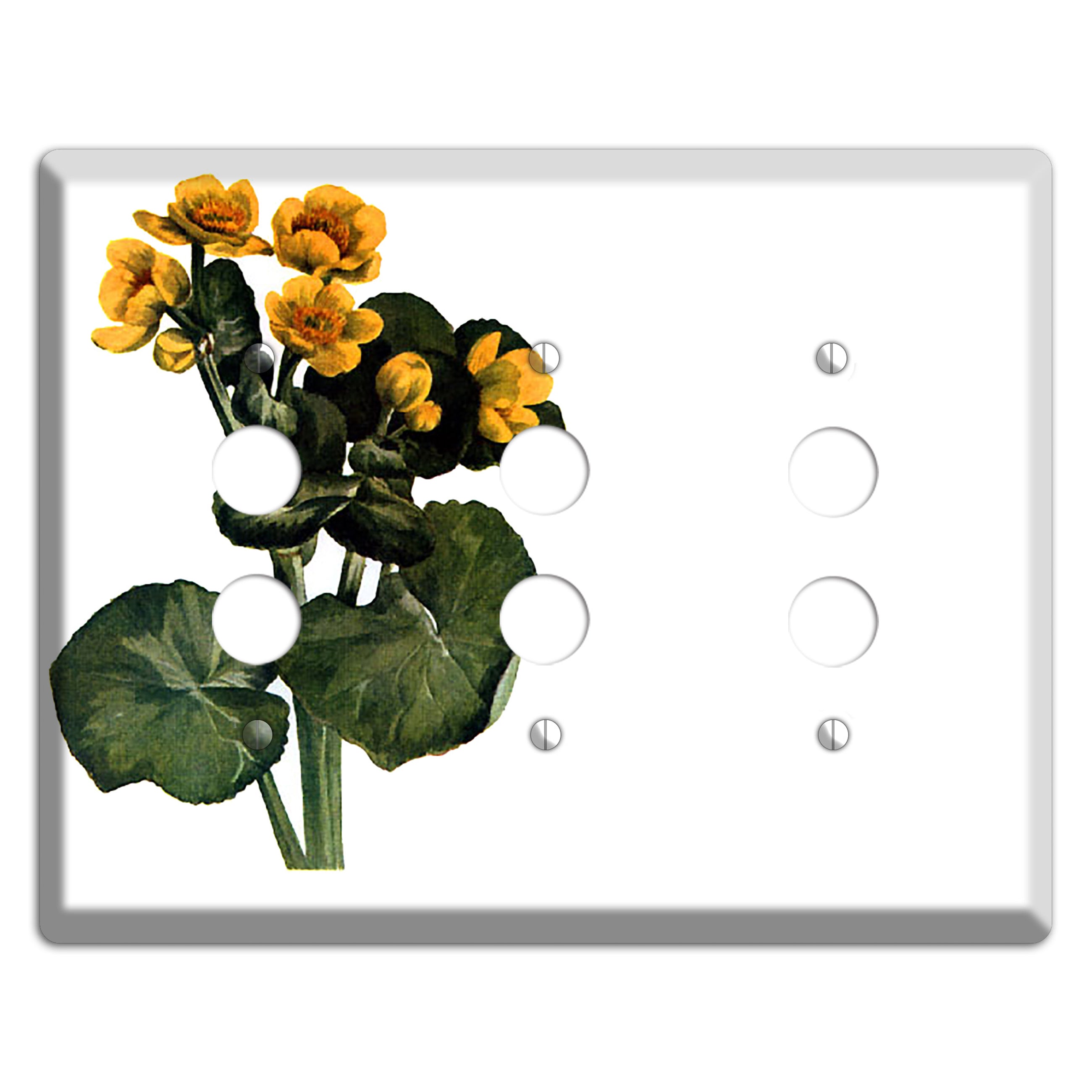 Calla Palustrie 2 3 Pushbutton Wallplate