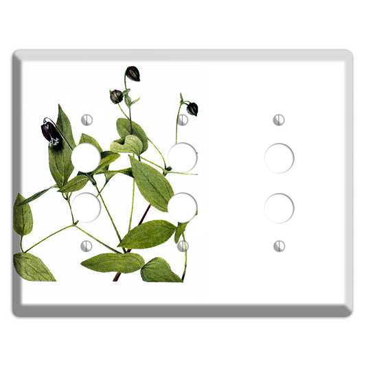 Clematis Viorna 3 Pushbutton Wallplate