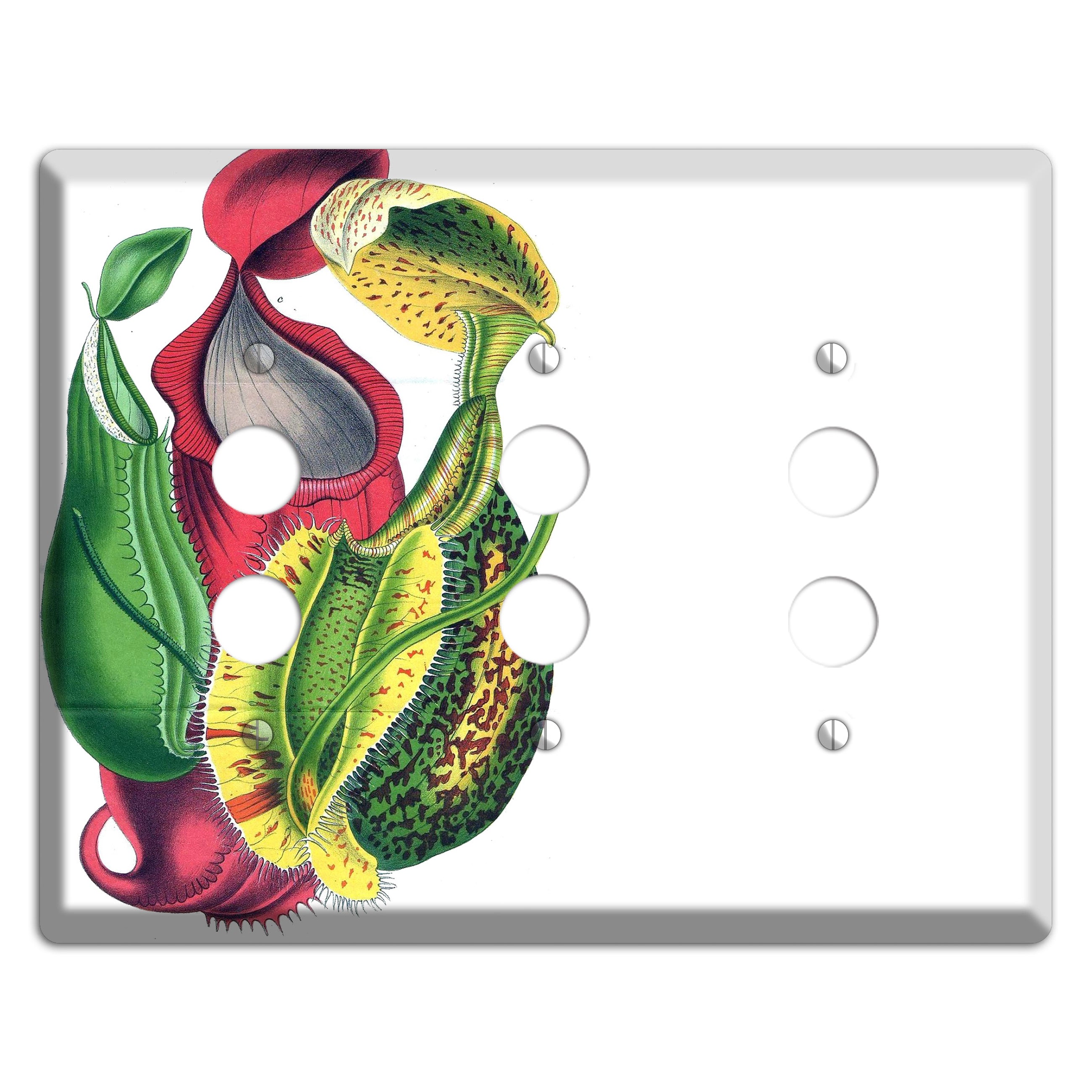 Nepethes 3 Pushbutton Wallplate
