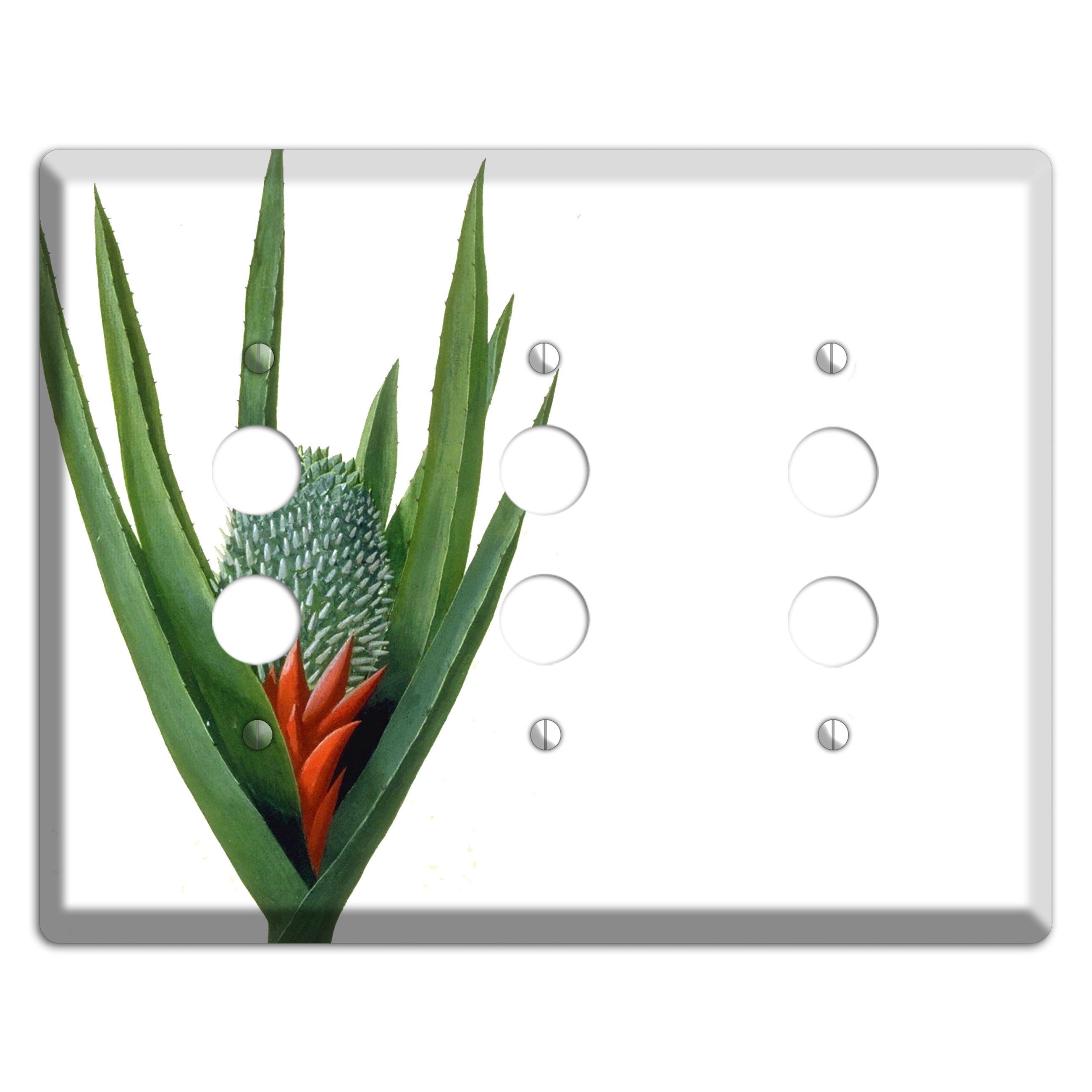 Bromiliad 3 Pushbutton Wallplate