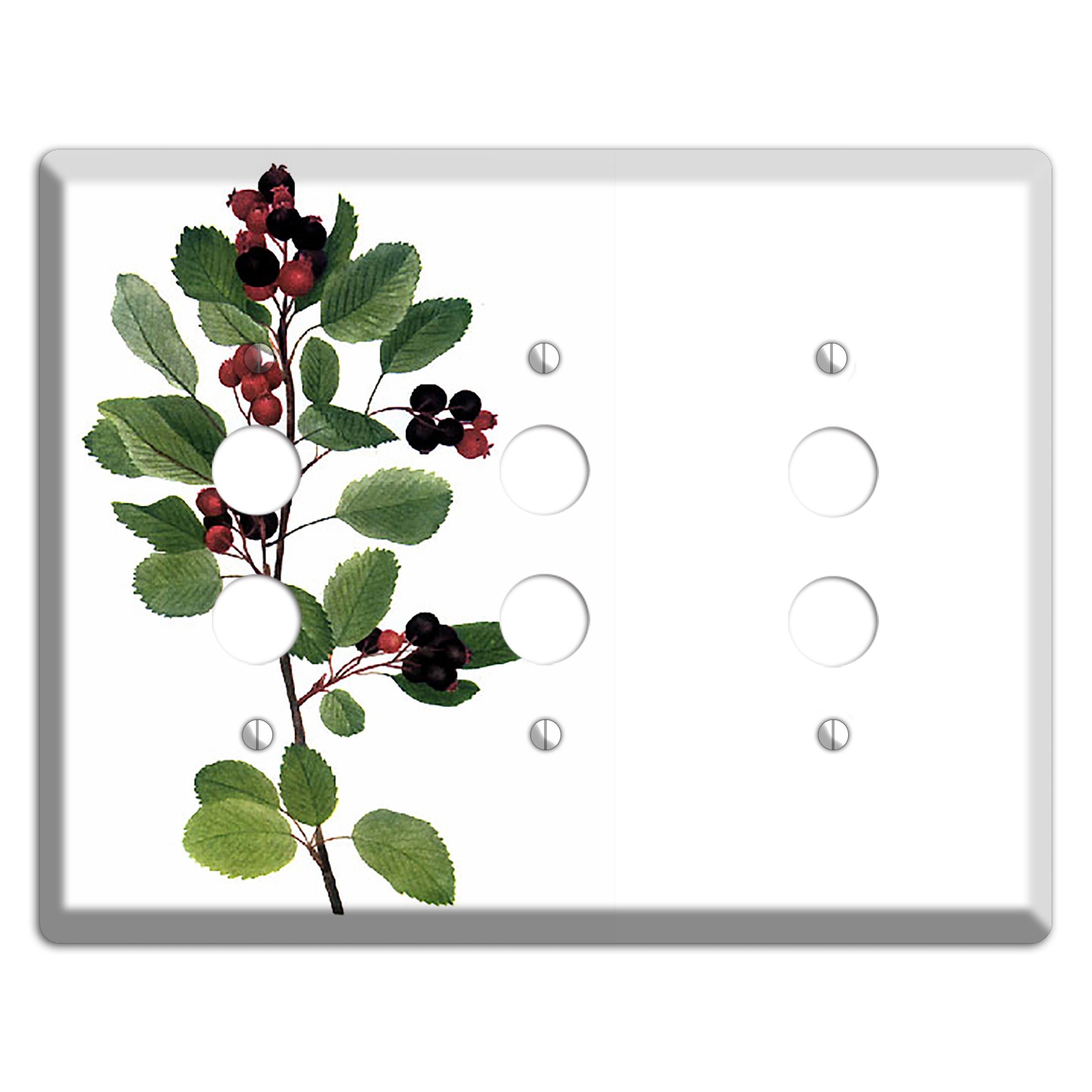 Amelanchier Ainifolia 3 Pushbutton Wallplate