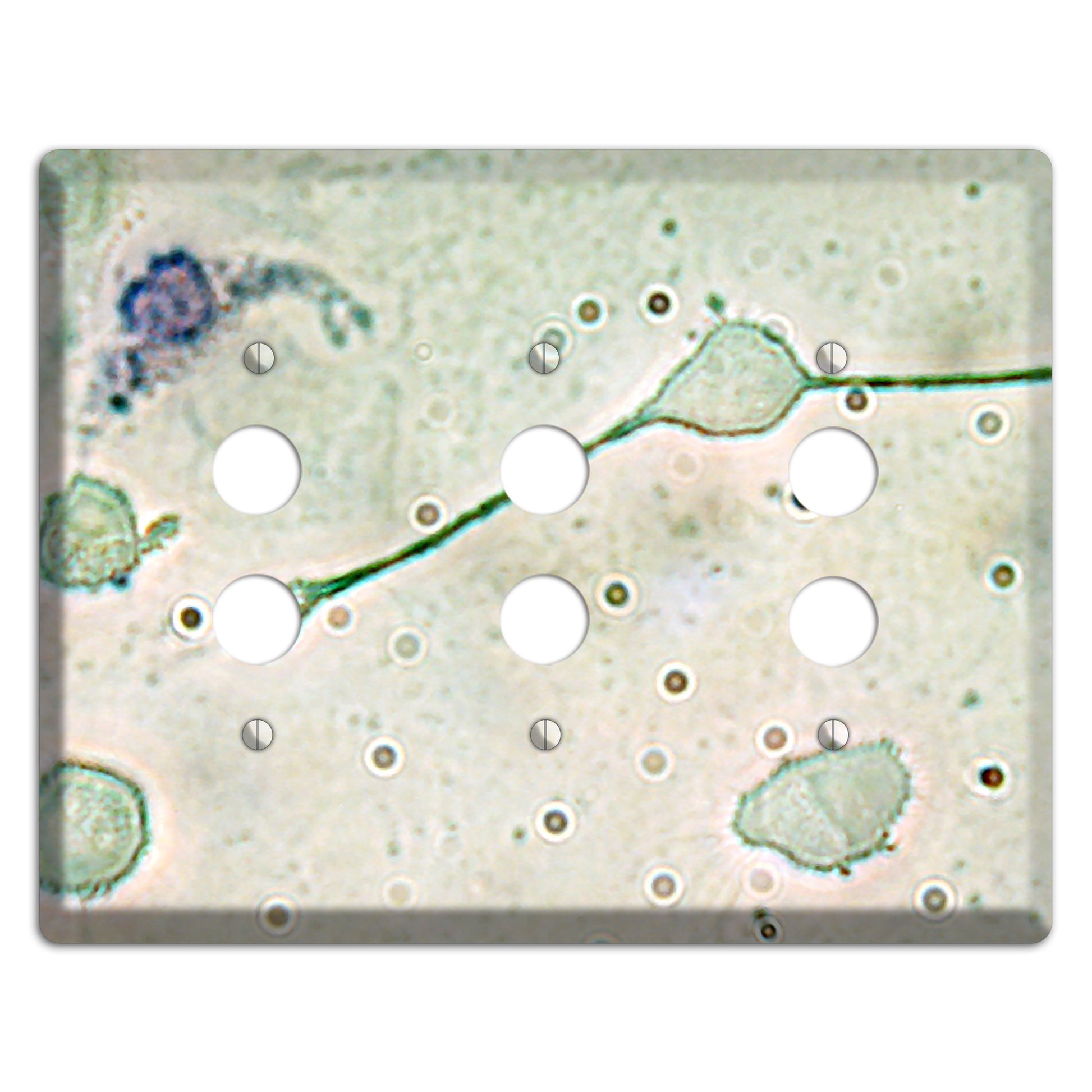 Macrophage 3 Pushbutton Wallplate