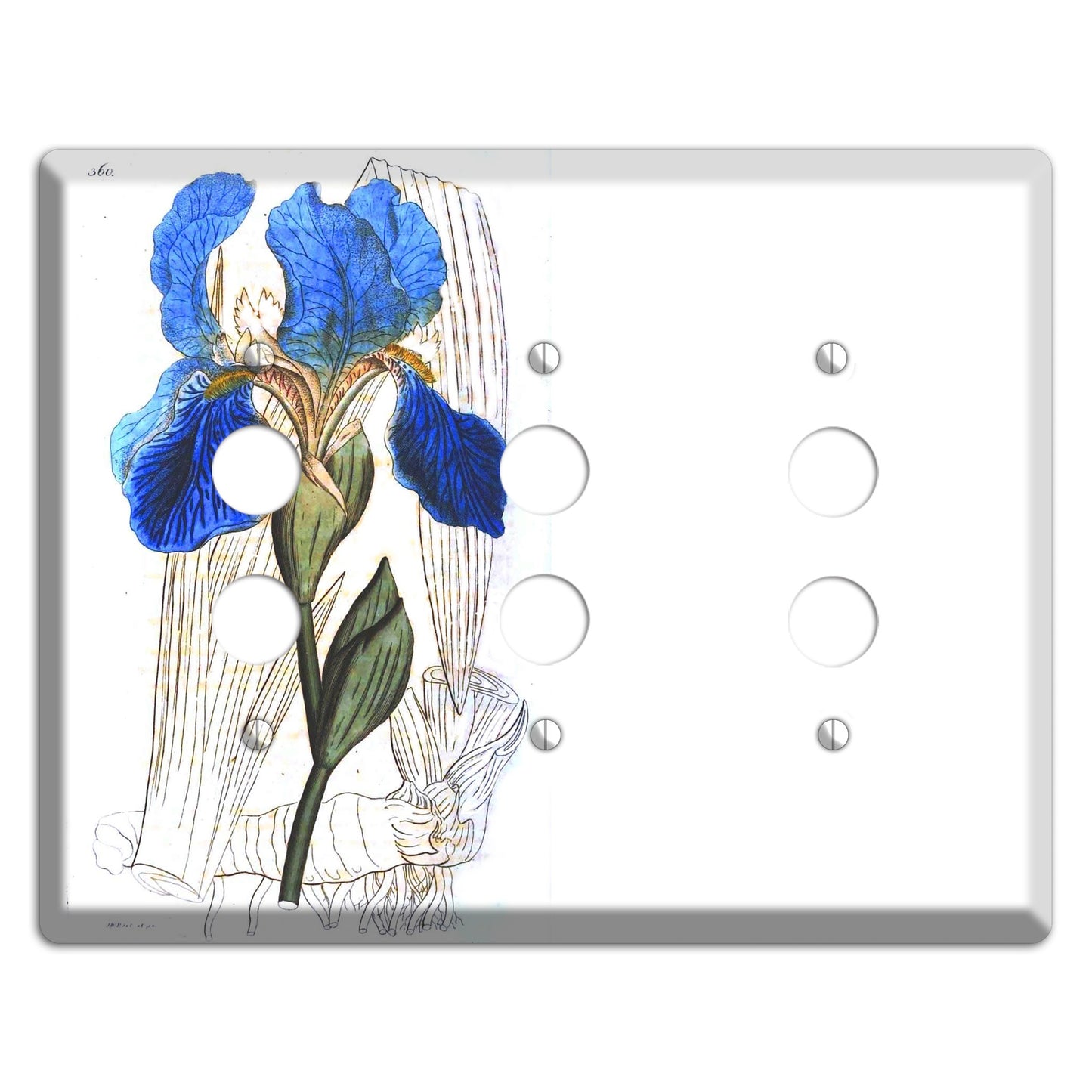 Blue Iris 3 Pushbutton Wallplate