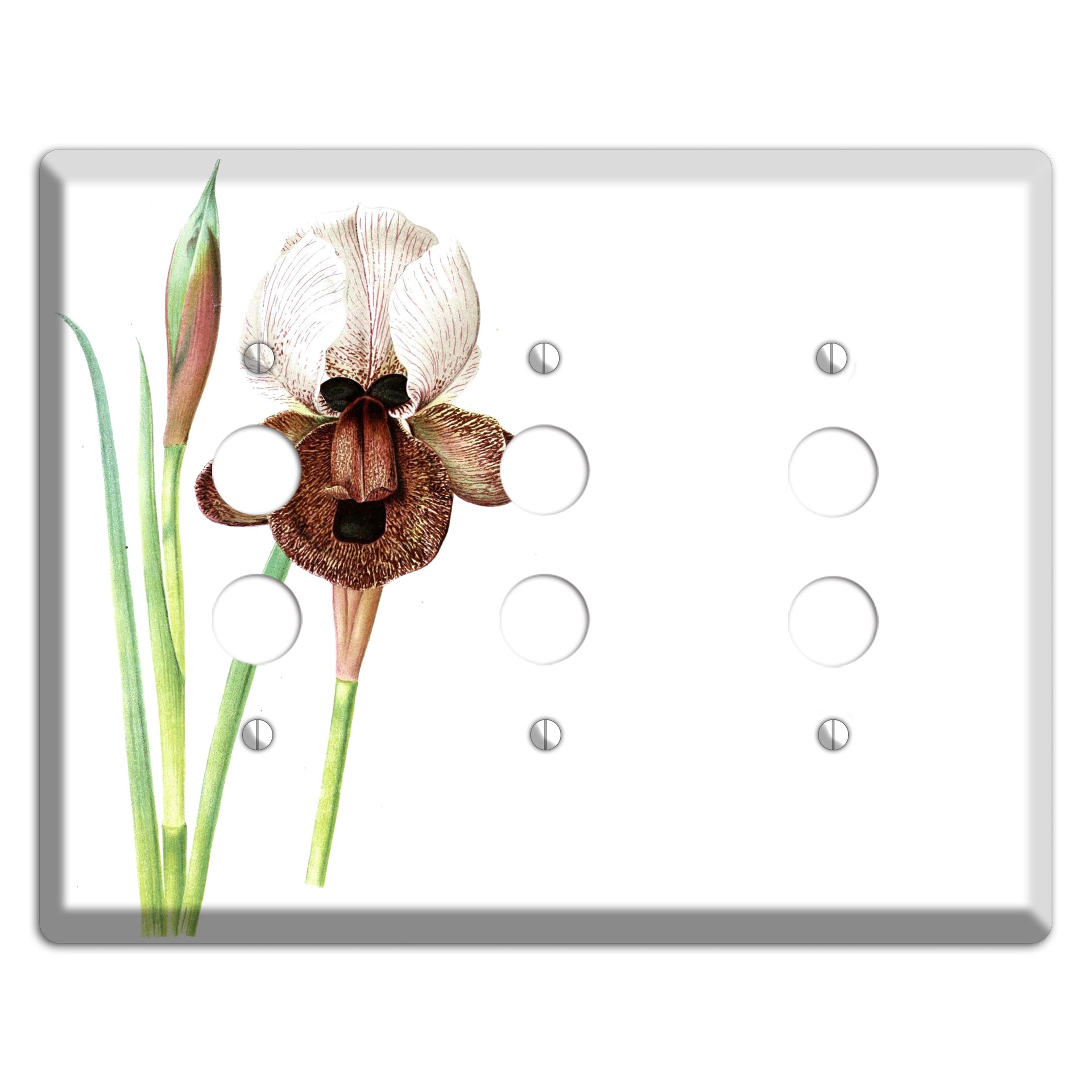 White iris 3 Pushbutton Wallplate