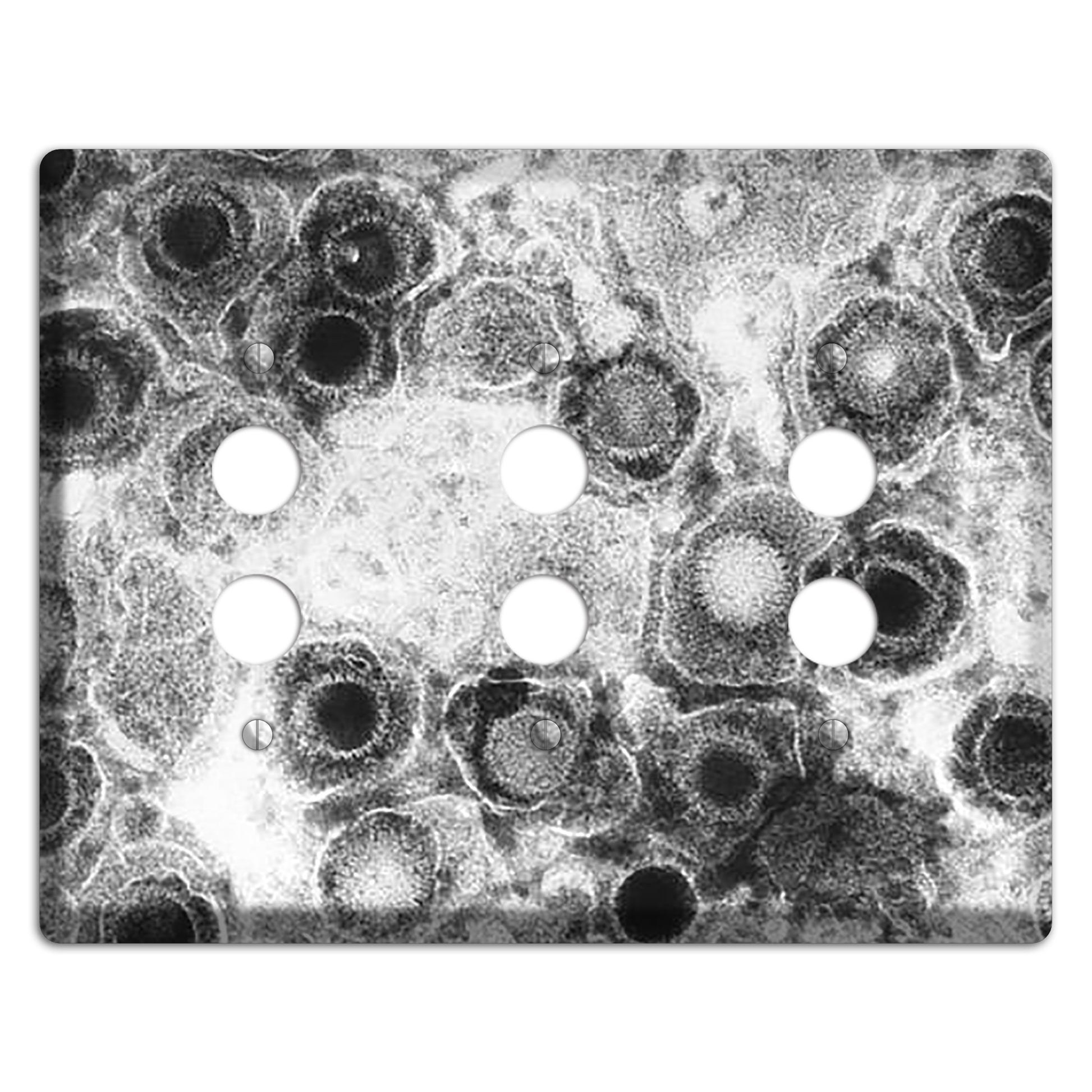 Herpes Simplex 3 Pushbutton Wallplate