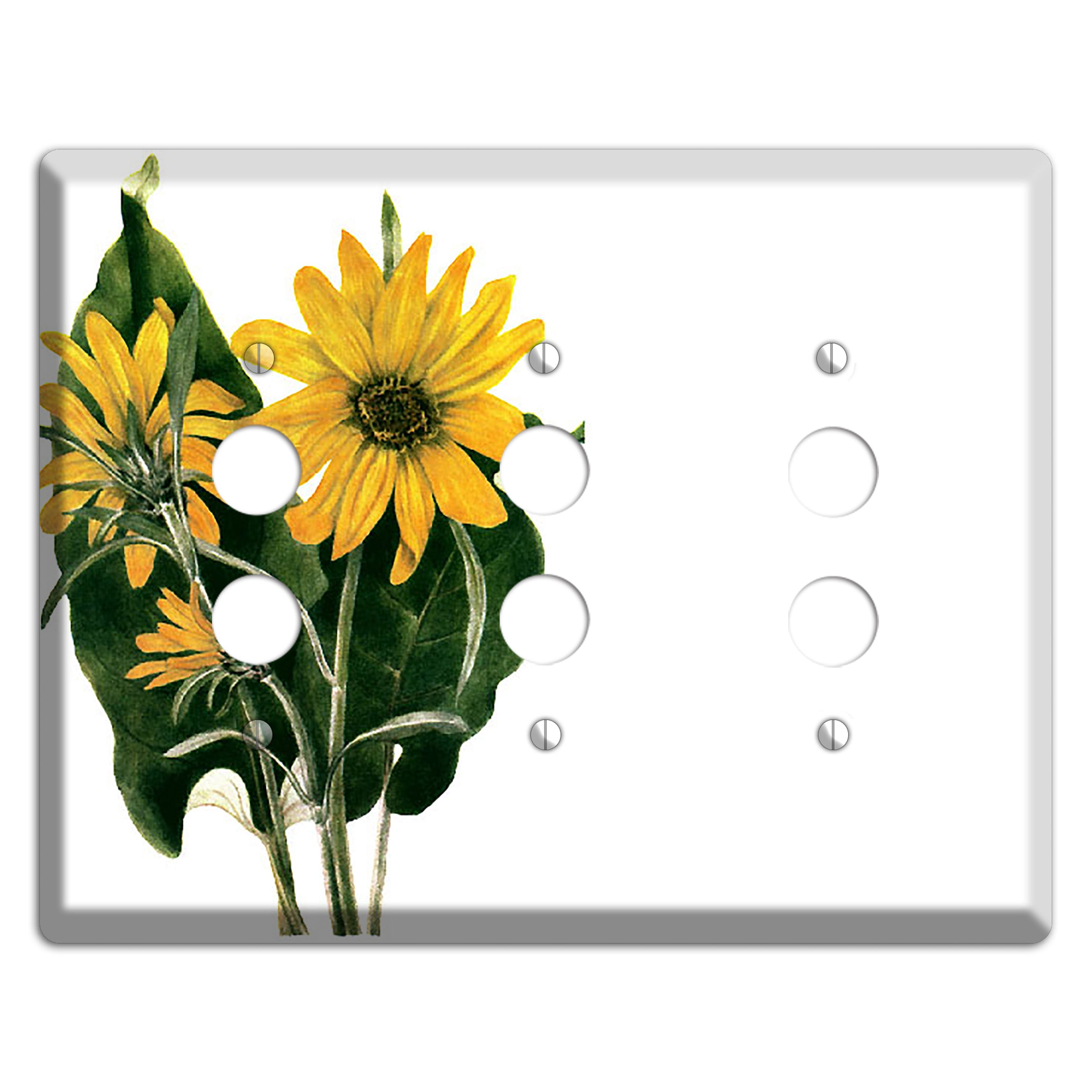 Balsamorhiza Sagittata 3 Pushbutton Wallplate