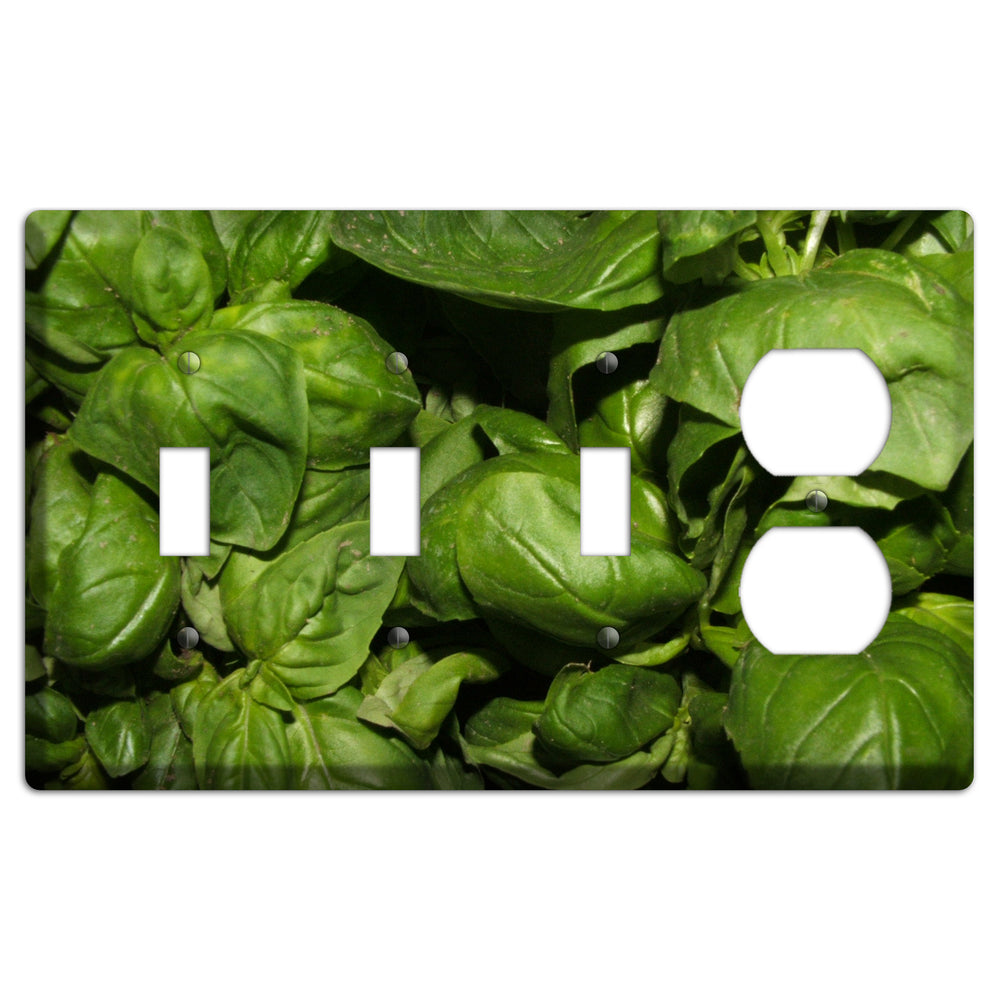 Basil 3 Toggle / Duplex Wallplate