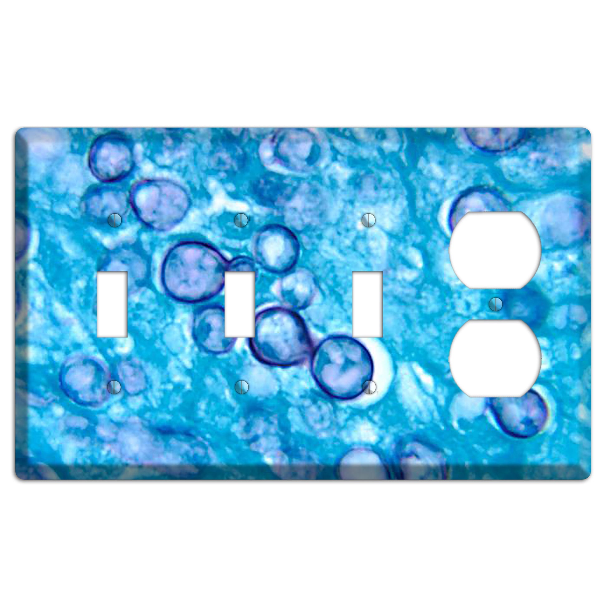 Histoplasma Capsulatum Duboisii 3 Toggle / Duplex Wallplate
