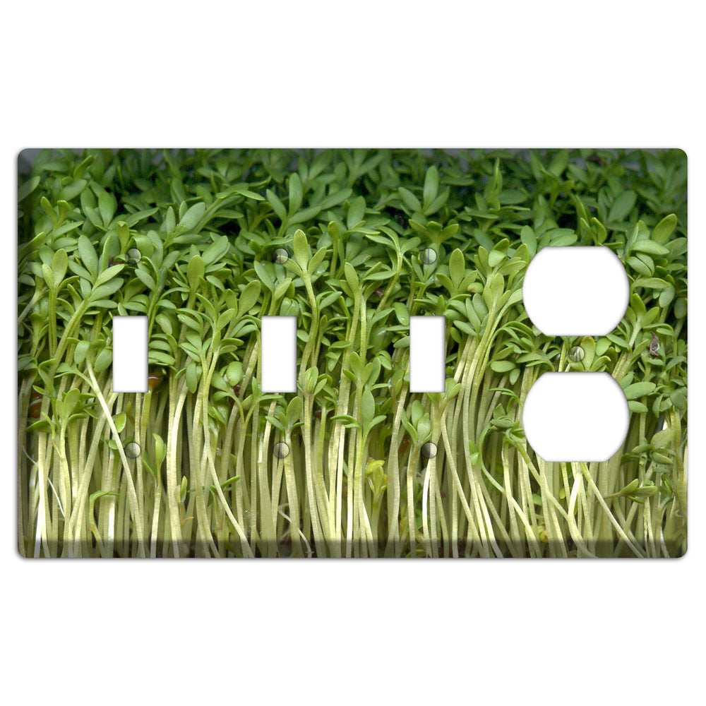 Sprouts 3 Toggle / Duplex Wallplate
