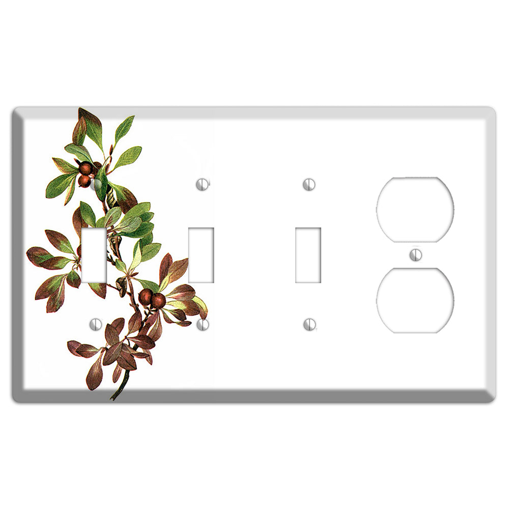 Arietustaphylos Alpha 3 Toggle / Duplex Wallplate
