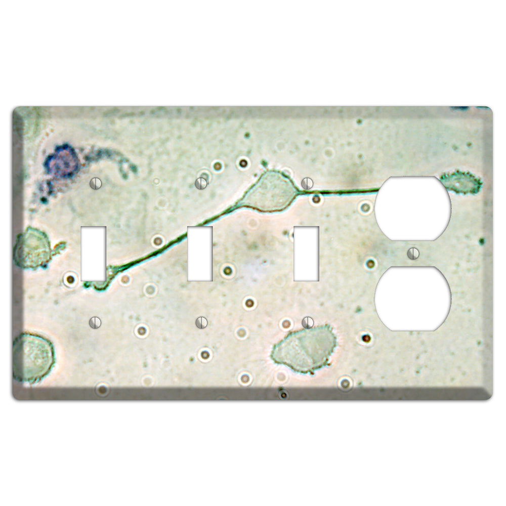 Macrophage 3 Toggle / Duplex Wallplate