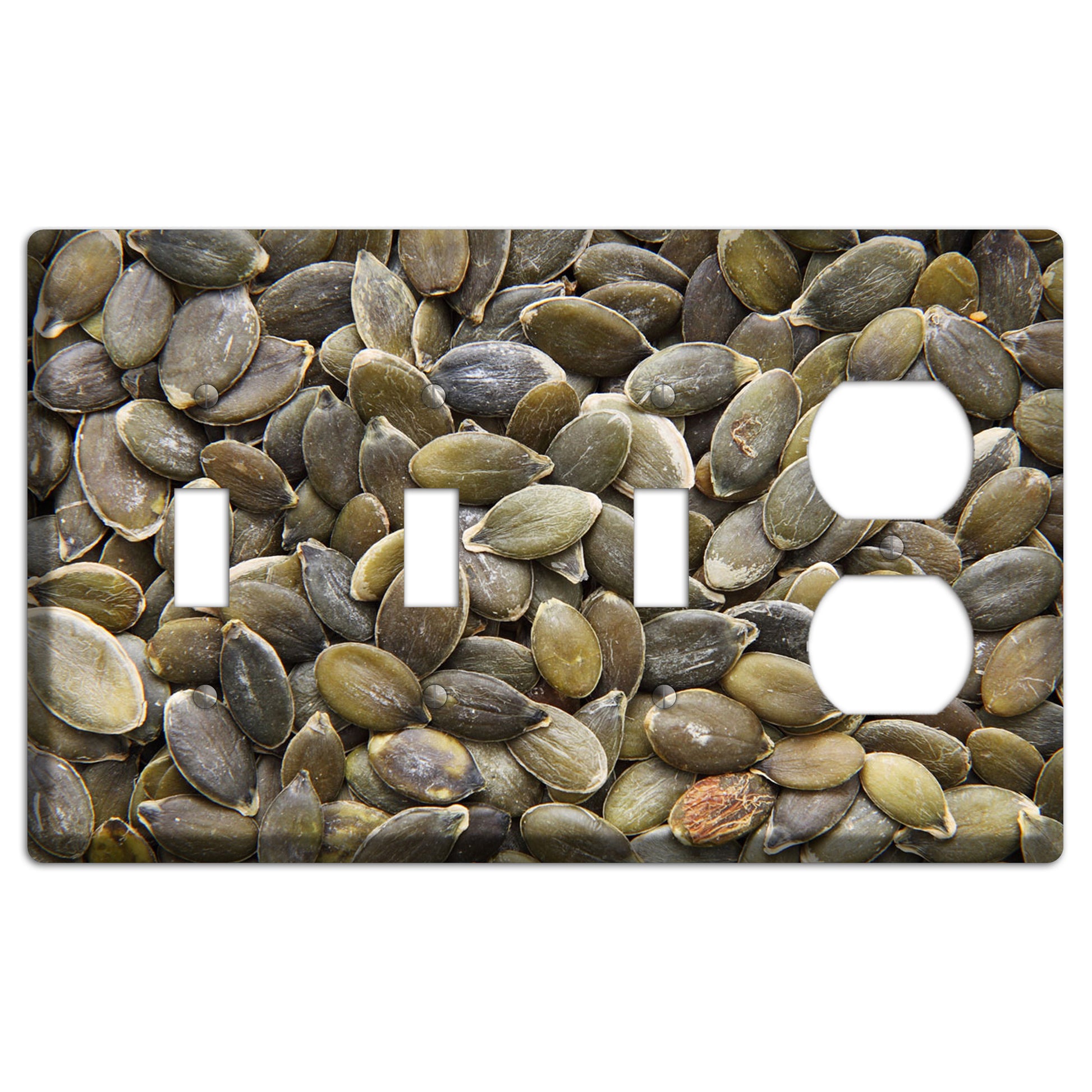 Sunflowers Seeds 3 Toggle / Duplex Wallplate