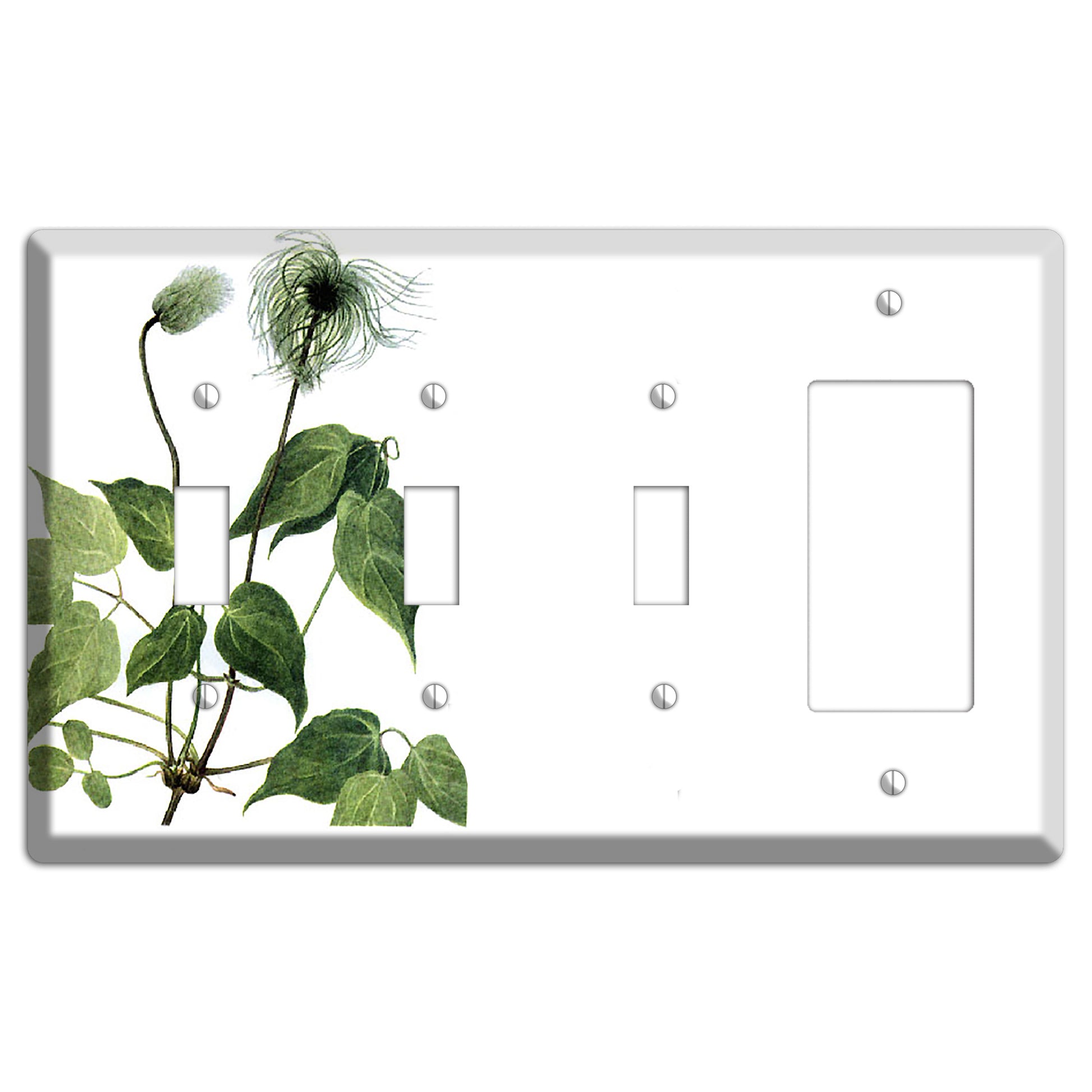 Clamatis Columbiana 3 Toggle / Rocker Wallplate