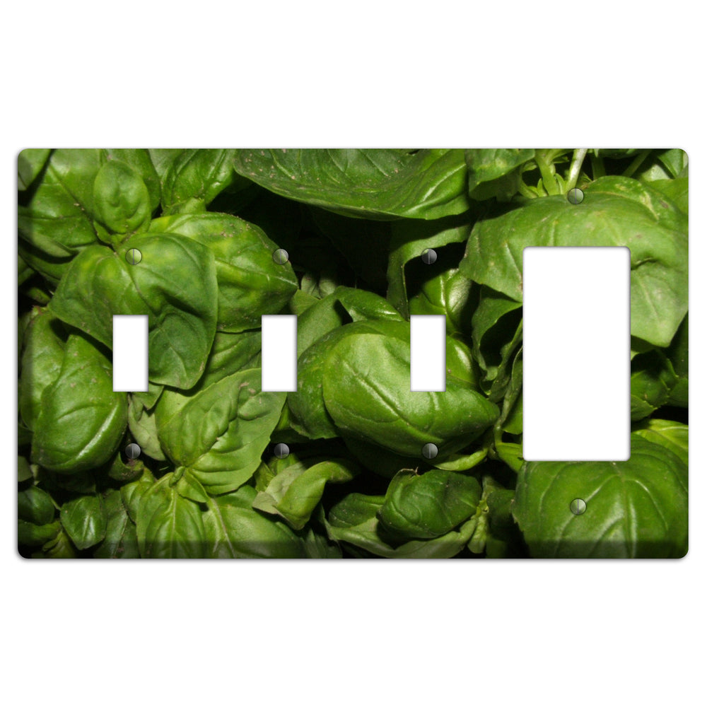 Basil 3 Toggle / Rocker Wallplate