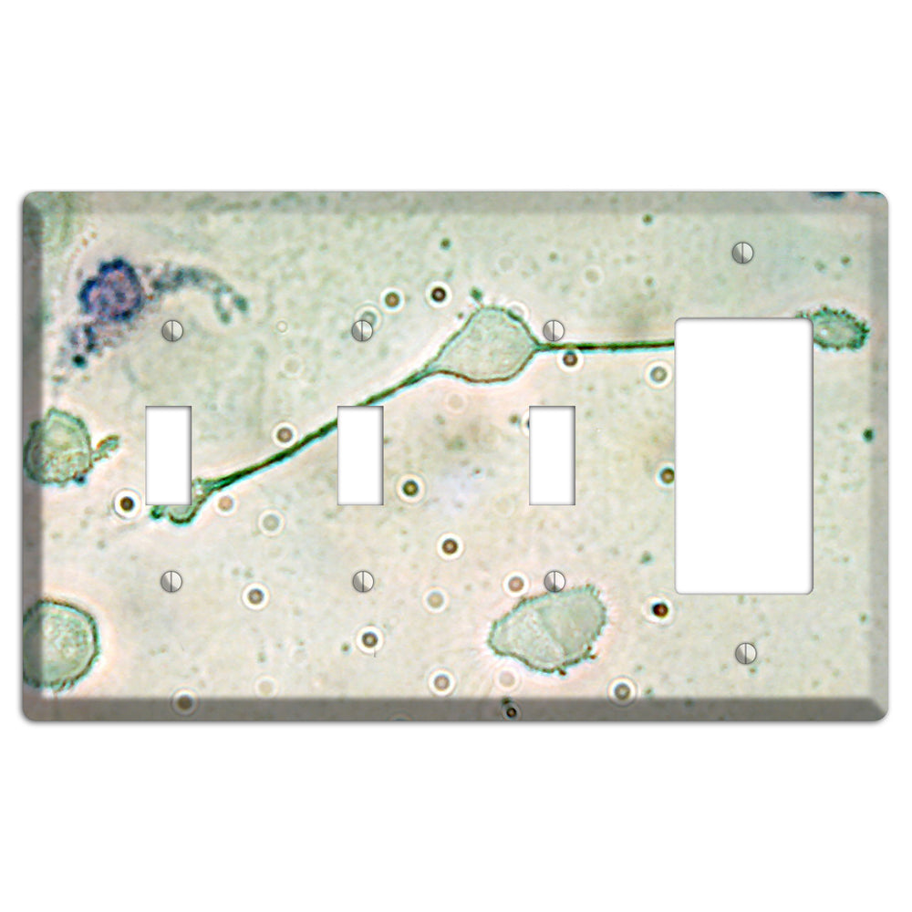 Macrophage 3 Toggle / Rocker Wallplate
