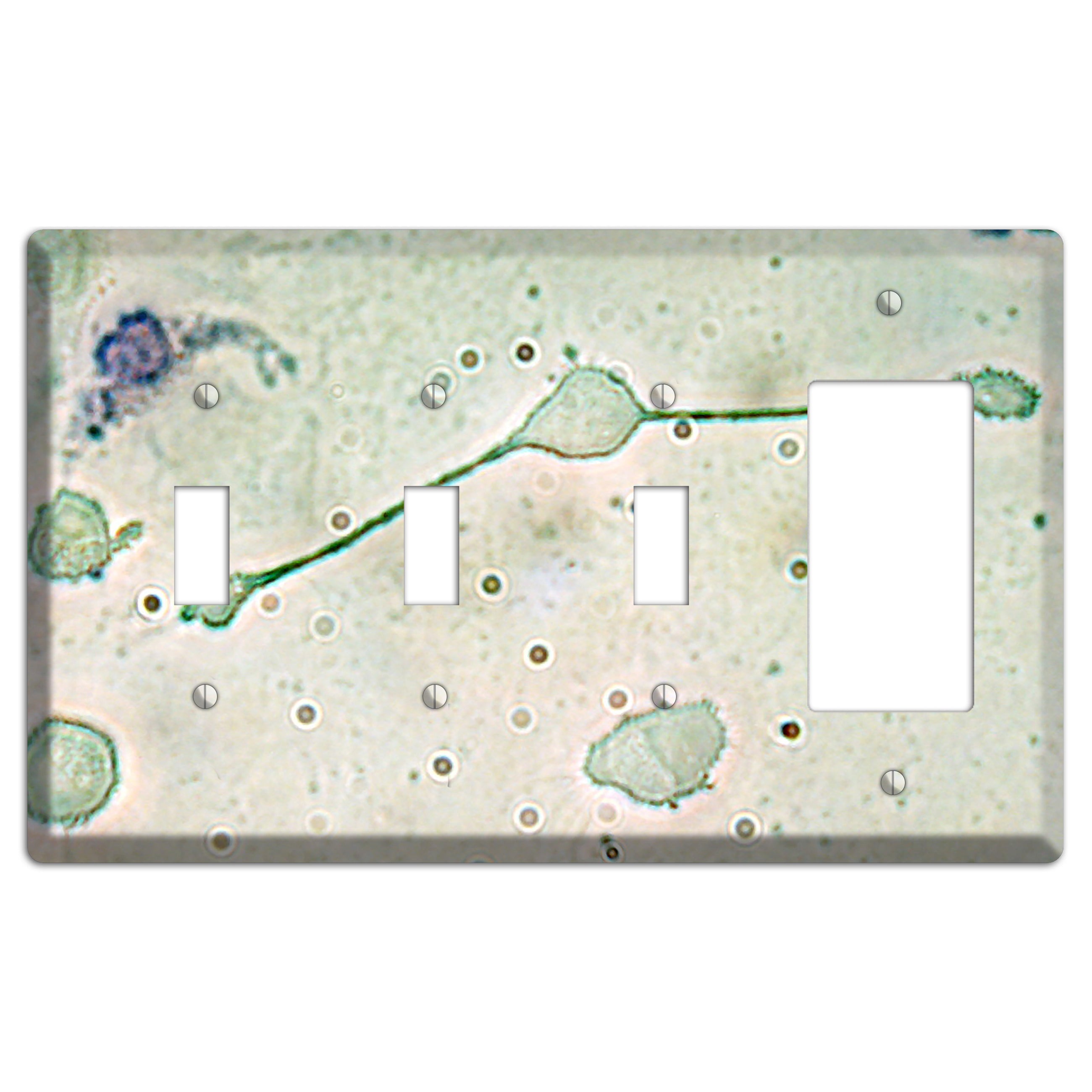Macrophage 3 Toggle / Rocker Wallplate