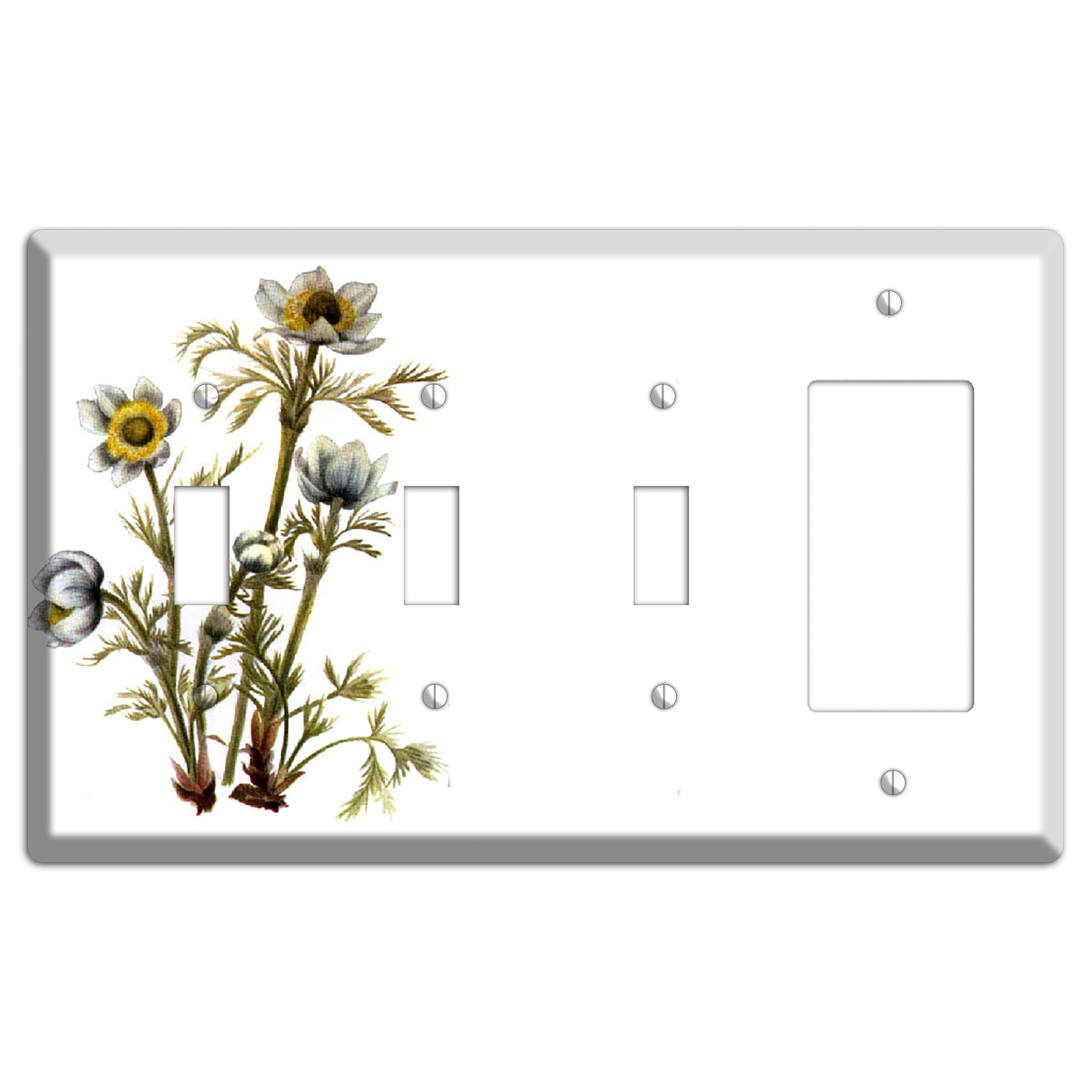 Aenmone Occitentalis 3 Toggle / Rocker Wallplate