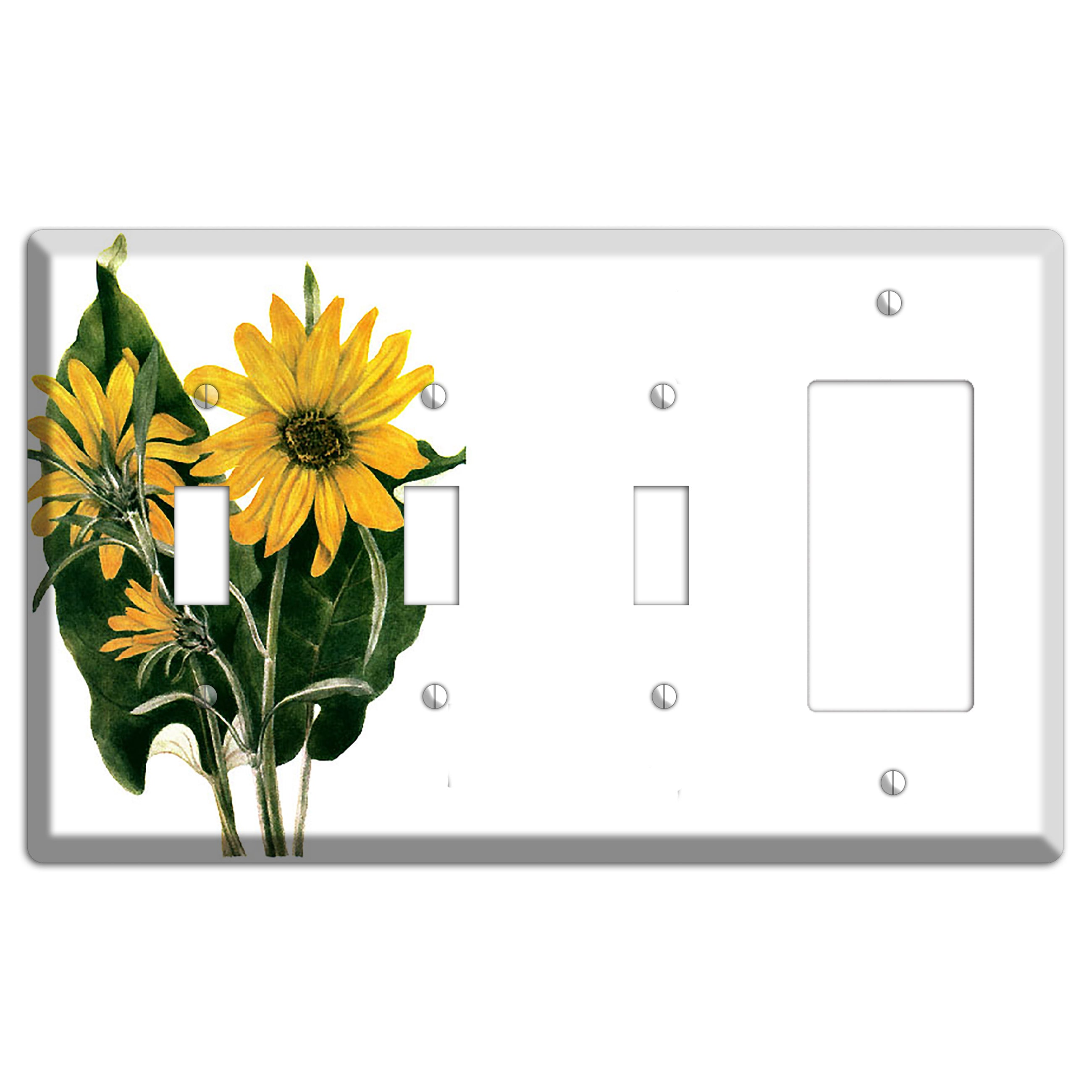 Balsamorhiza Sagittata 3 Toggle / Rocker Wallplate